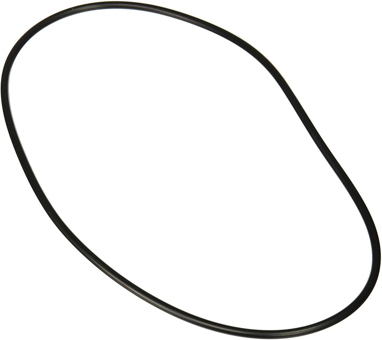 Zodiac R0446300 Backplate O-Ring, Jandy Pool and Spa Pumps
