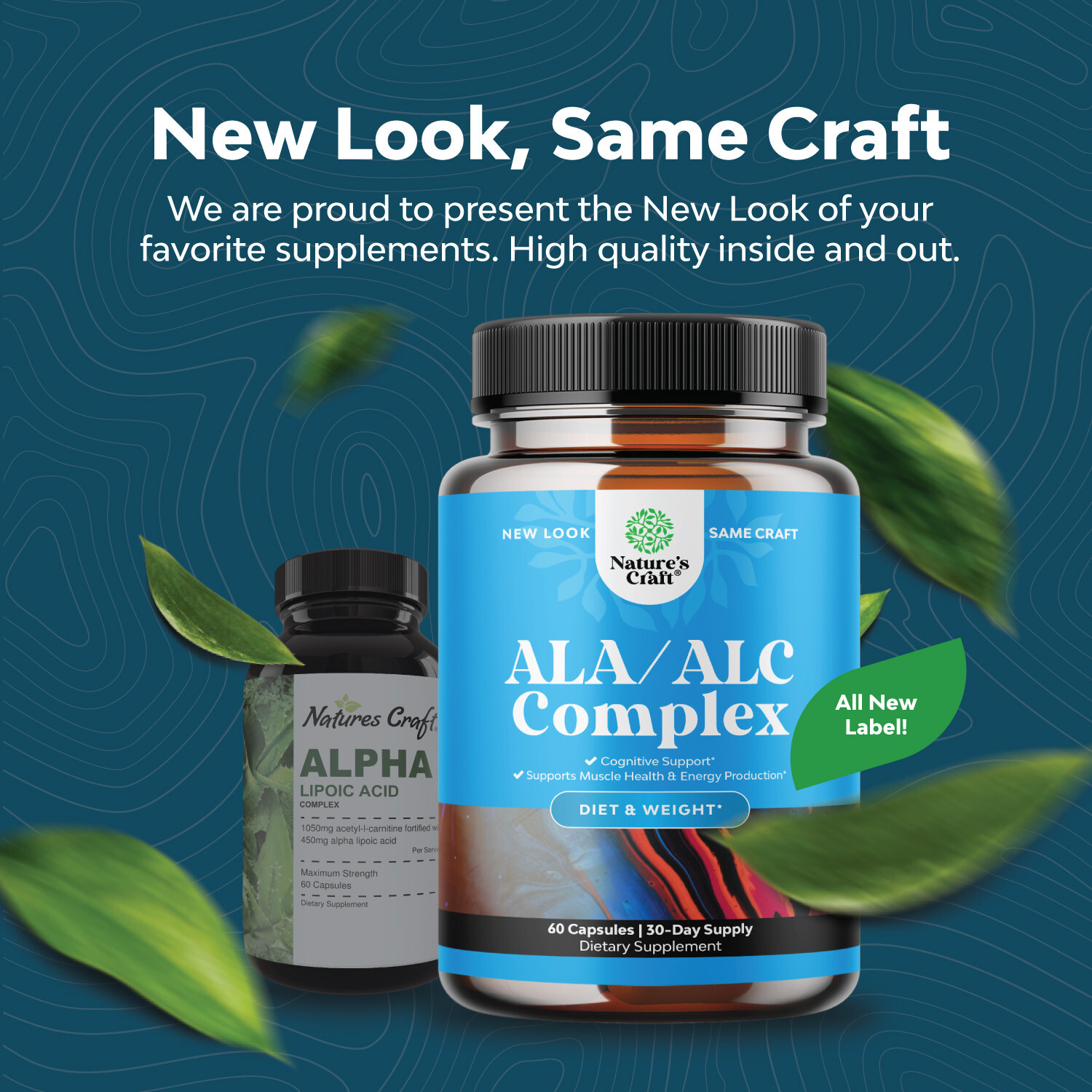 ALC and Alpha Lipoic Acid Supplements - Acetyl l-carnitine Alpha Lipoic Acid