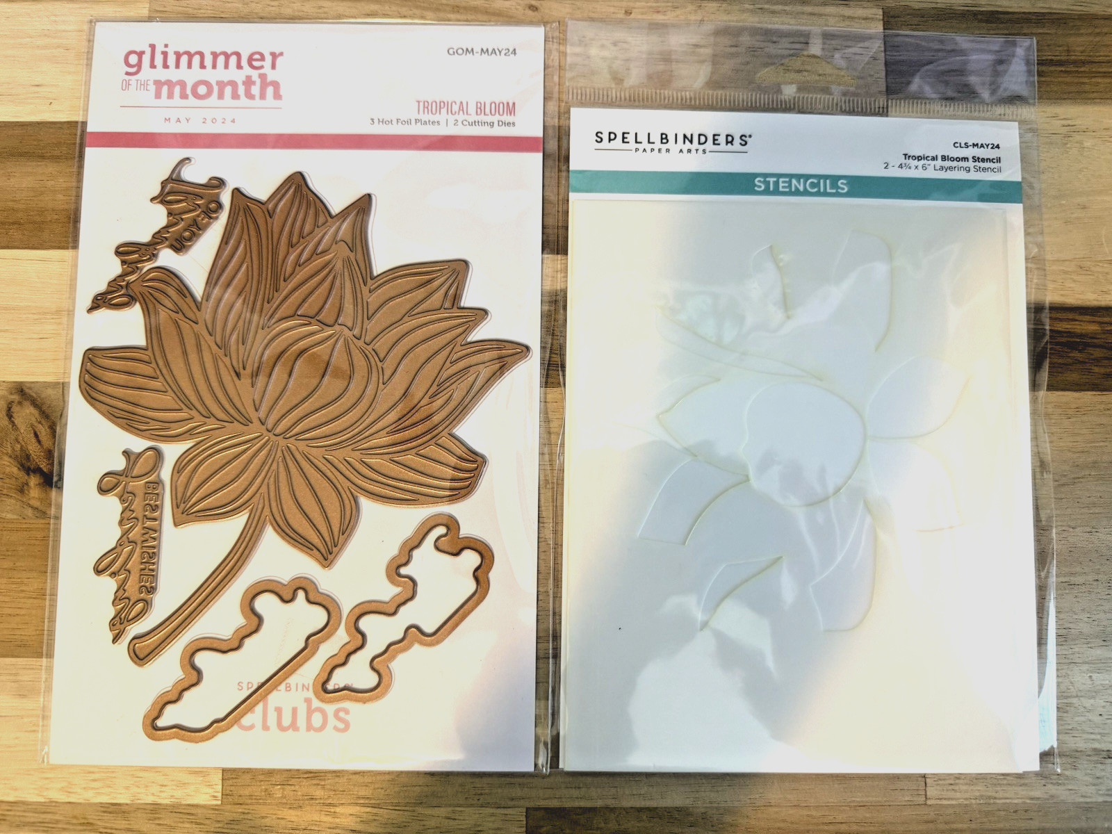 Spellbinders - Tropical Bloom - GOM-MAY24 & CLS-MAY24