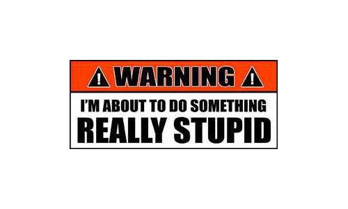 Warning STUPID Stickers I am about to do something really STUPID 2 PACK DC 040