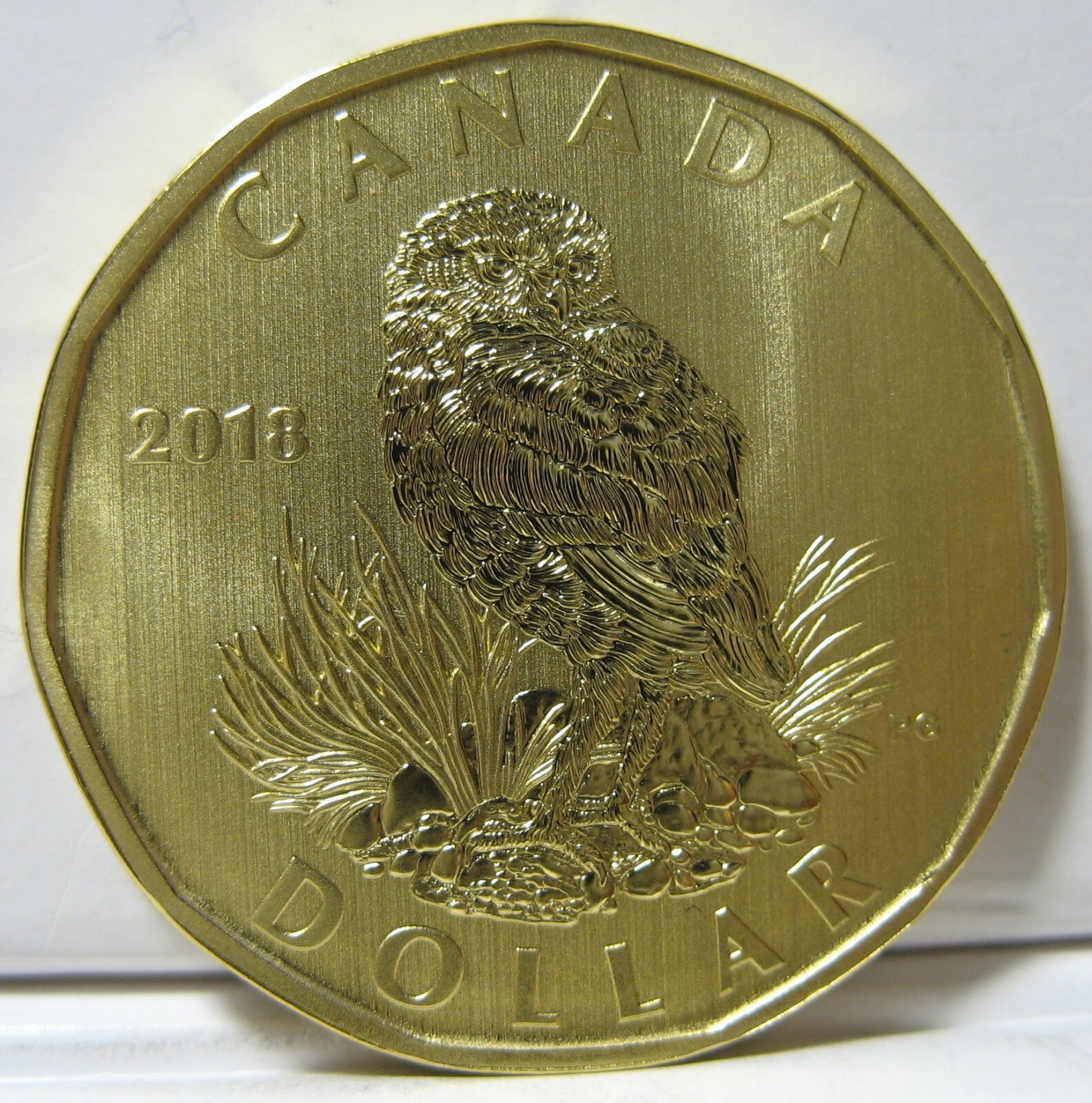 Canada 2018 $1 Burrowing Owl Specimen Uncirculated