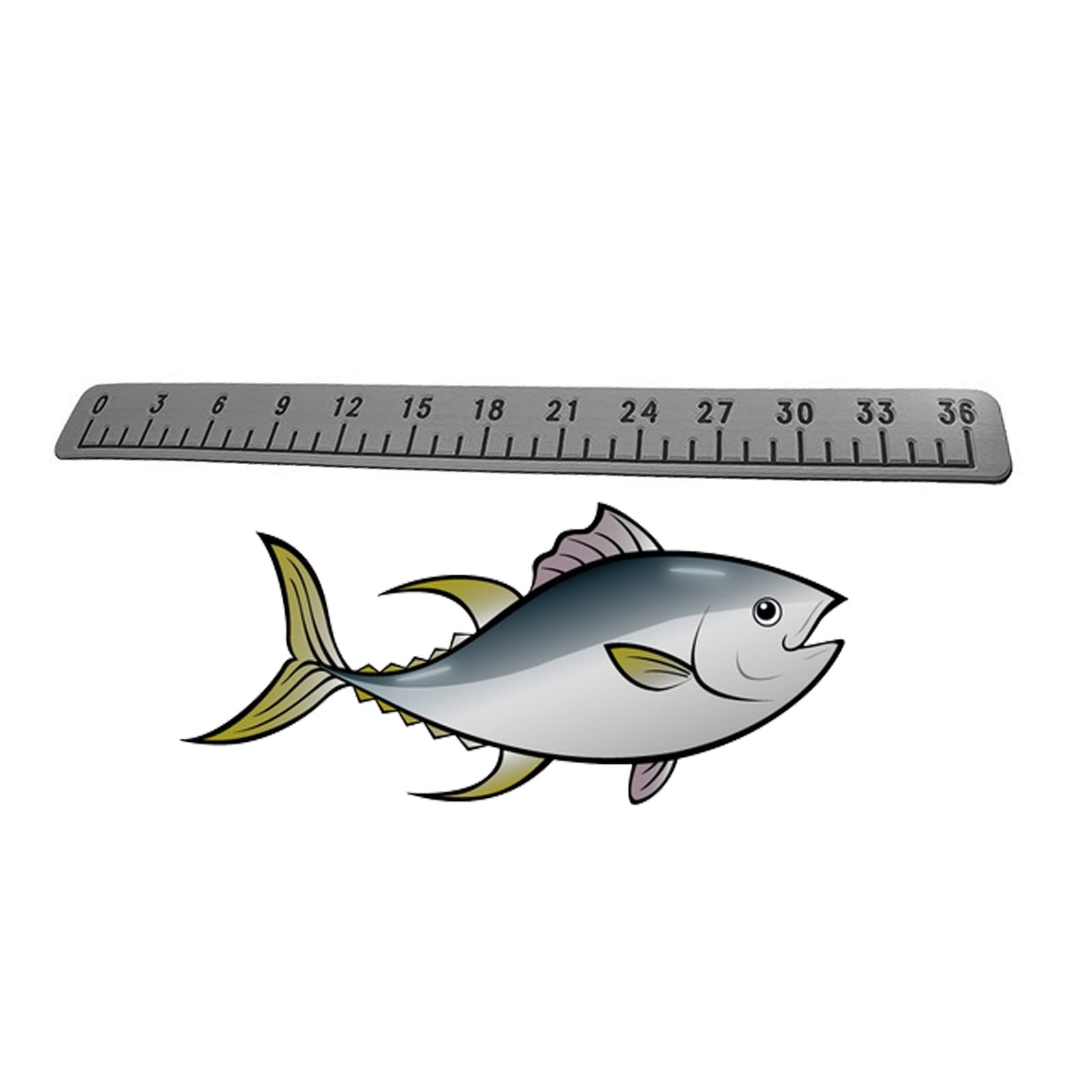 Foam Fishing Ruler,36" Fishing Measurement Tool,Fishing Accessories,Kayak Fis...