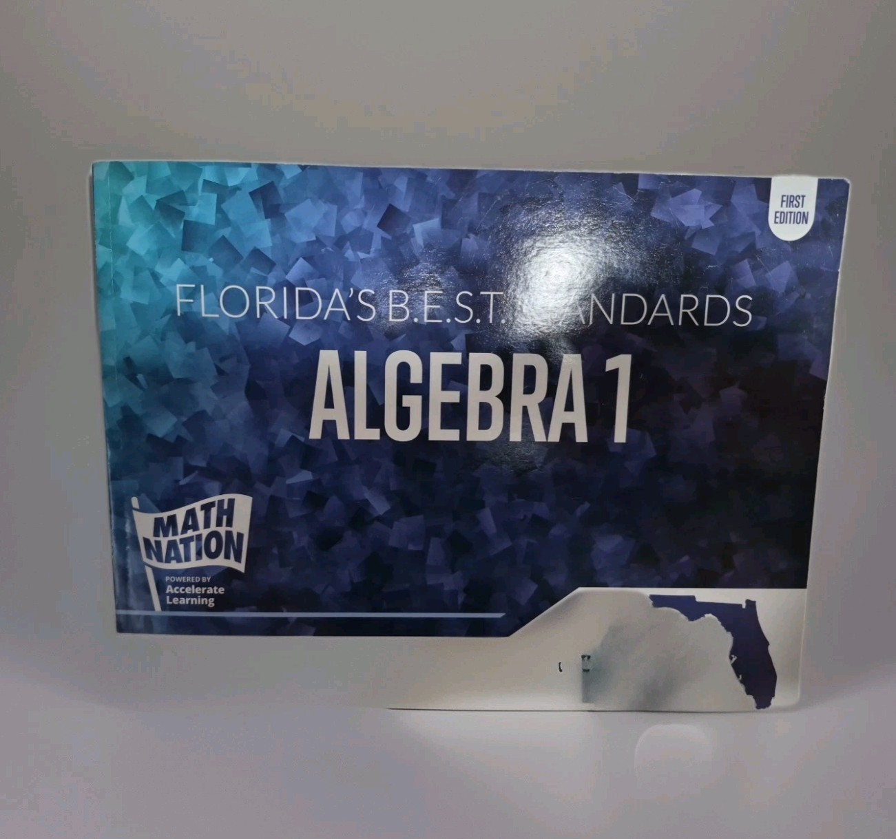 Florida's BEST Standards ALGEBRA 1, Vol 1, Units 1-7, Math Nation Textbook