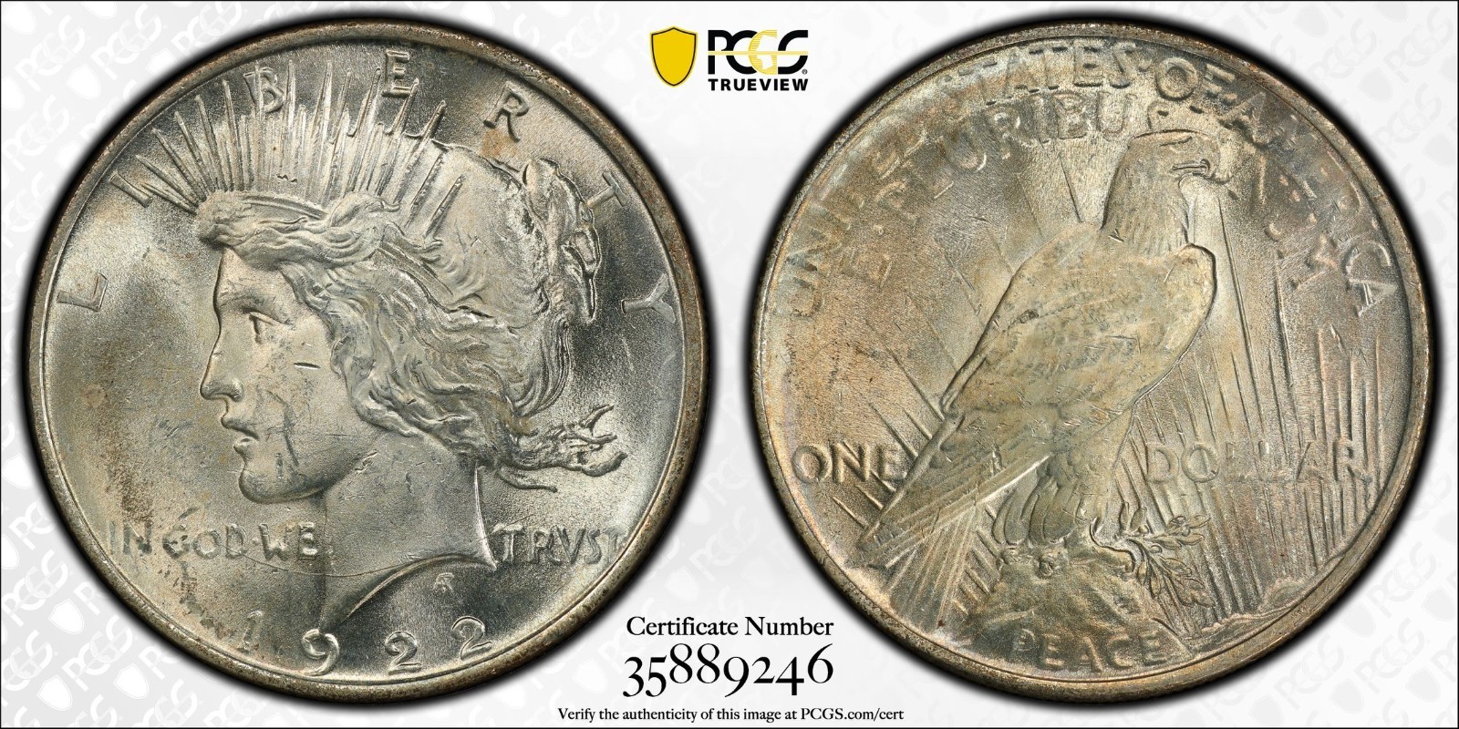 1922 PCGS MS63 Top 50 VAM-2E Wing Break Peace Silver Dollar with Gold Shield