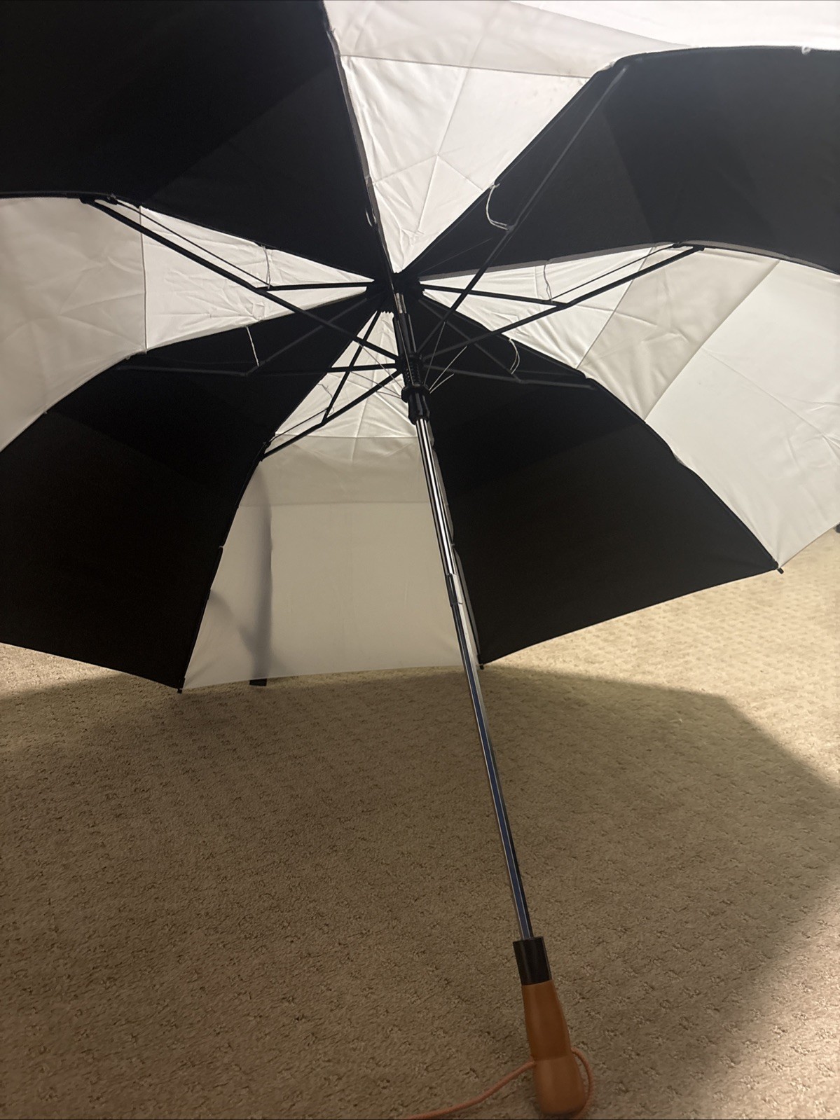 Umbrella