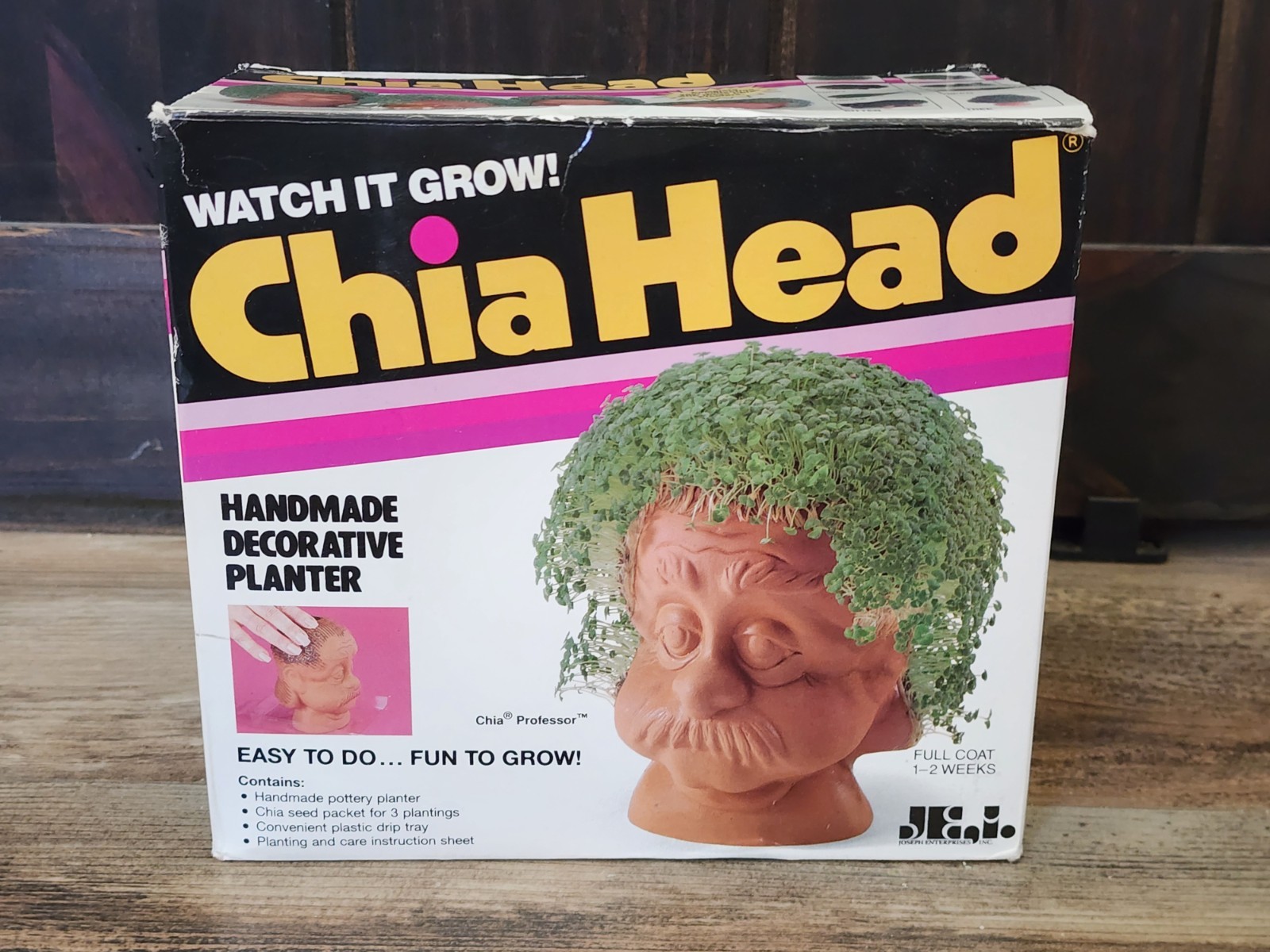 Vintagr Chia Head Professor |  Original Box | NEW | 1996