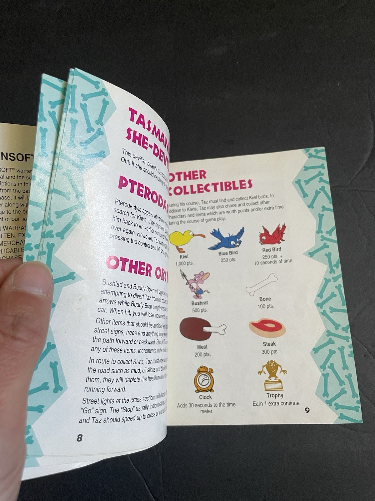 taz mania snes Manual
