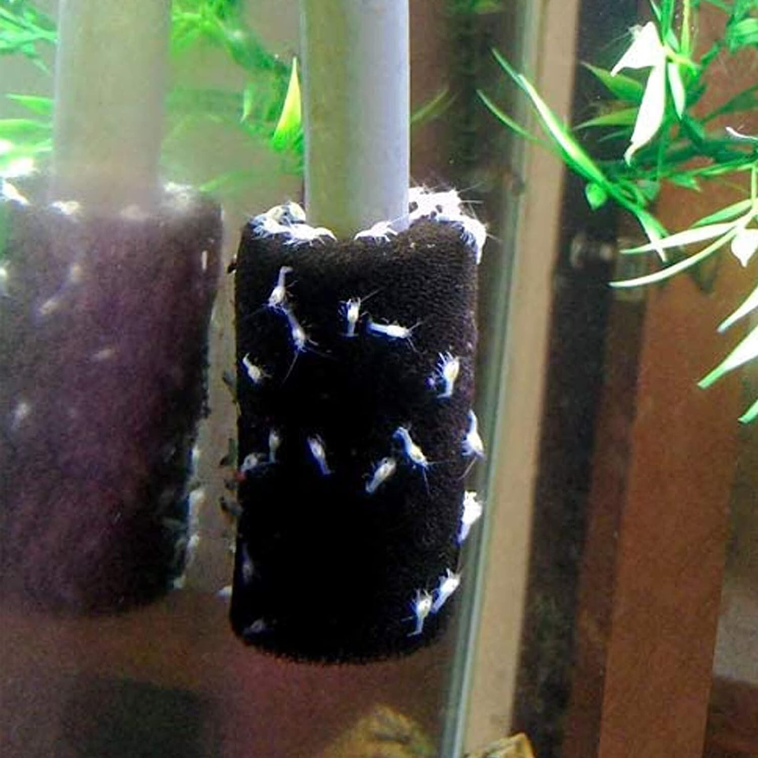 Pre-Filter Foam Sponge Roll Aquarium Filter Intake Cover for Fish Tank, 4 Pack