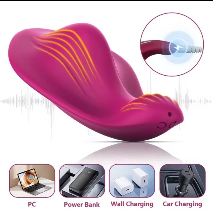 Rechargeable Intimate Personal Massager 9 Vibration Modes App Control