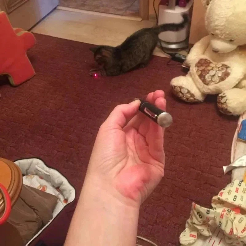 Interactive Pet Laser Pointer & LED Flashlight - Cat & Kitten Training Toy