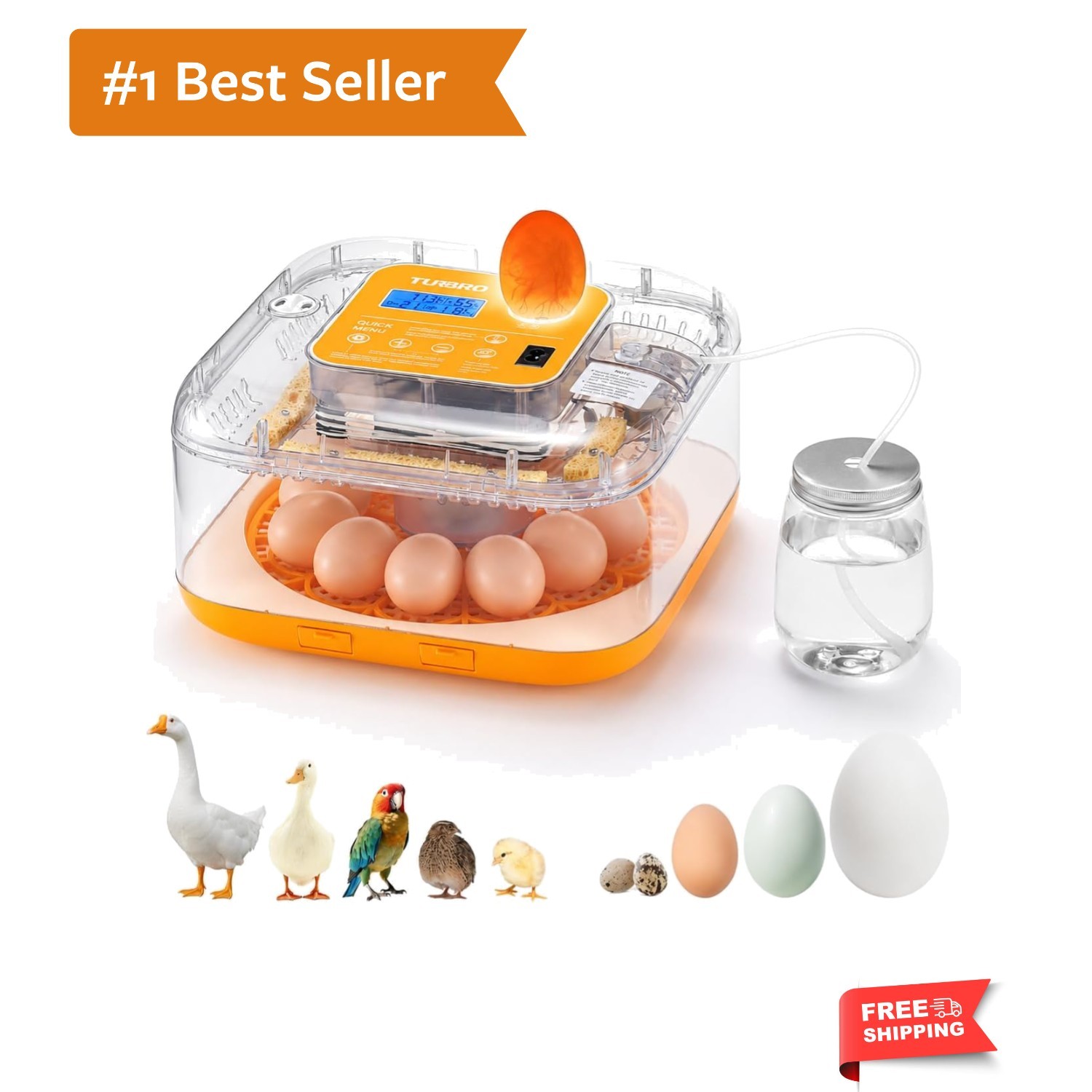 Incubator for Hatching Eggs, Automatic Turning, Temperature & Humidity Contro...