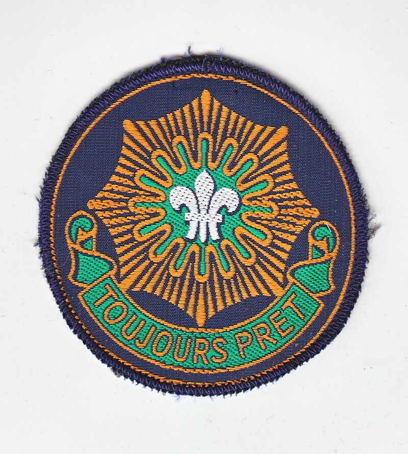 Army Patch: 2nd Cavalry Regiment - woven, German made