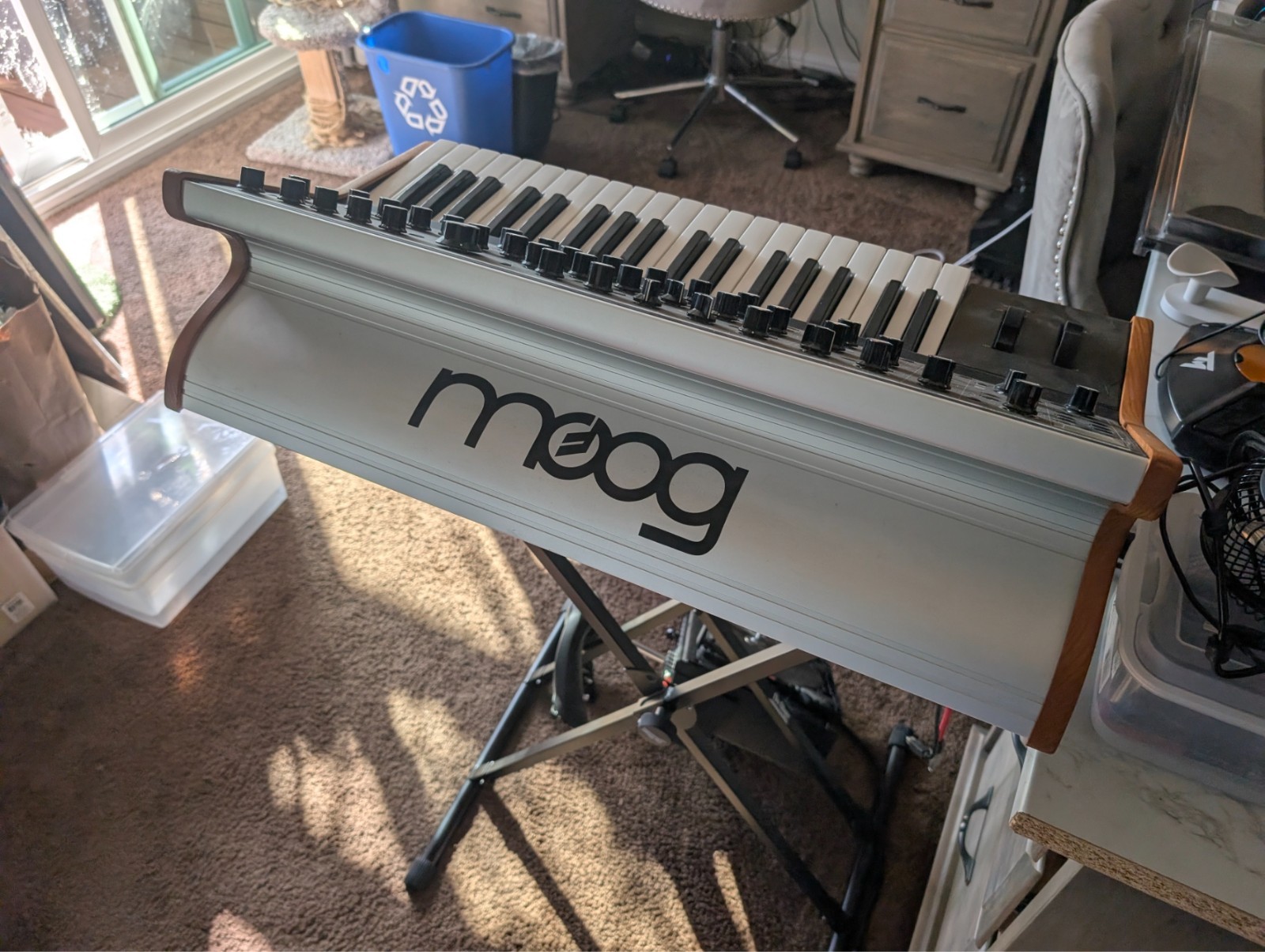 MOOG Subsequent 37 Paraphonic Analog Keyboard Synthesizer