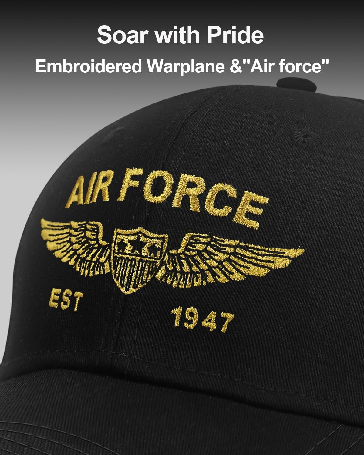 Air Force Hat for Men US Army Veterns Medium-Large, Insignia