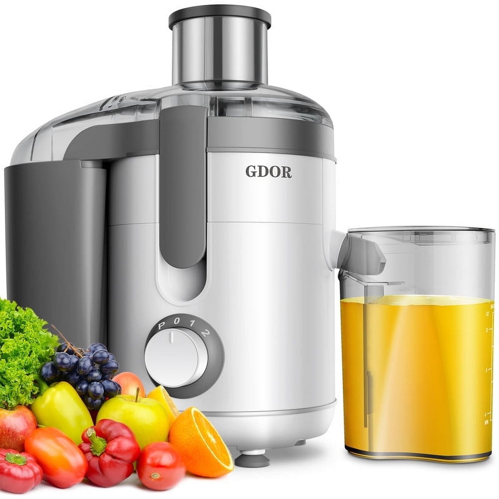 Juicer with Titanium Enhanced Cut Disc 2.5" Feed Chute for Fruits and Veggies