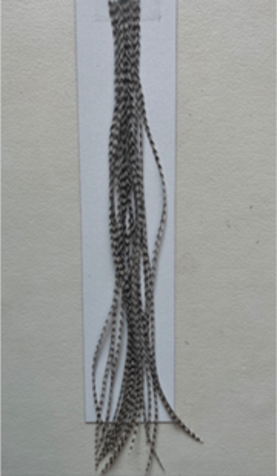 Whiting Grizzly Hackle 100 Pack #18