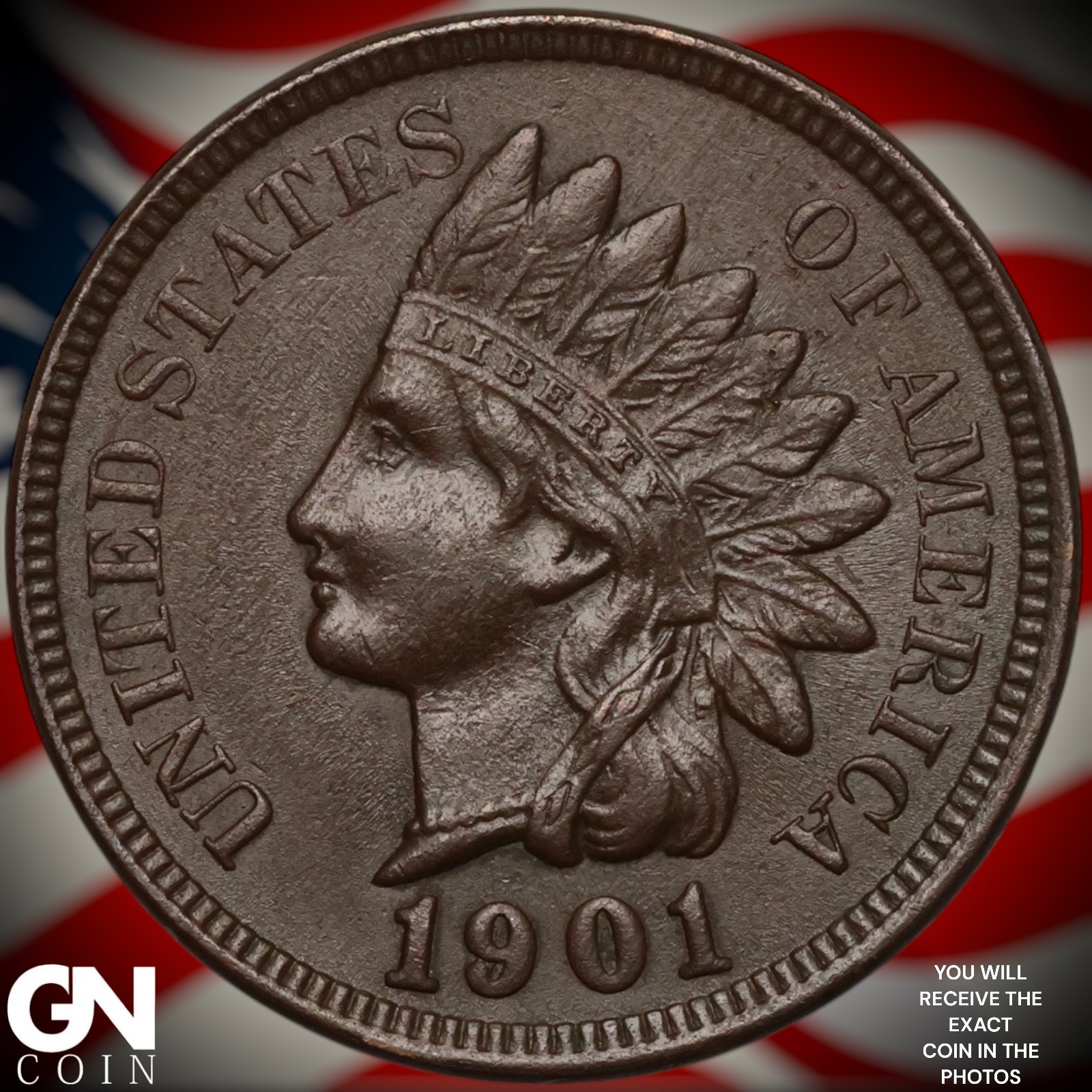 1901 Indian Head Cent Penny B0318