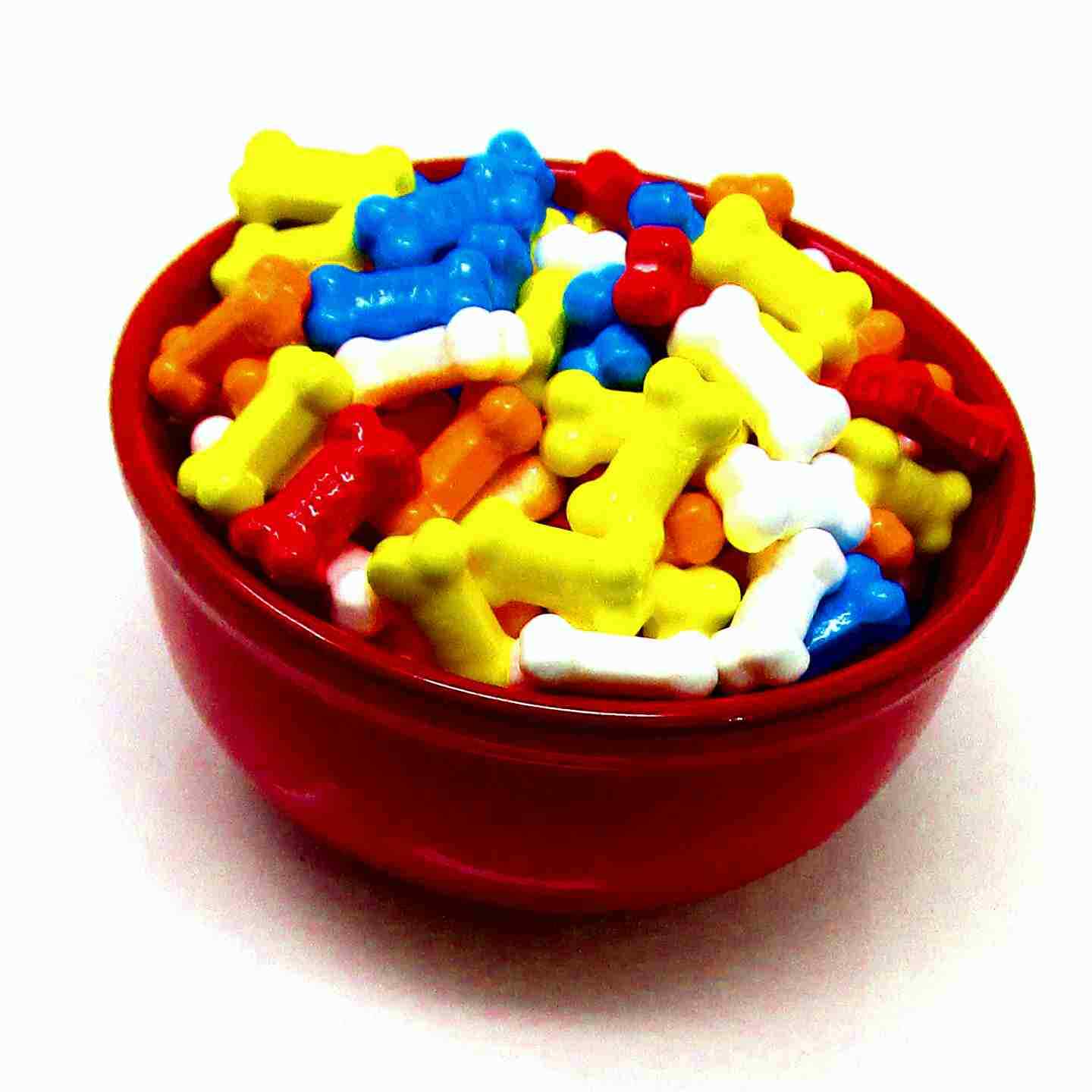 Bonz Bone Shaped Candy 2 LBS