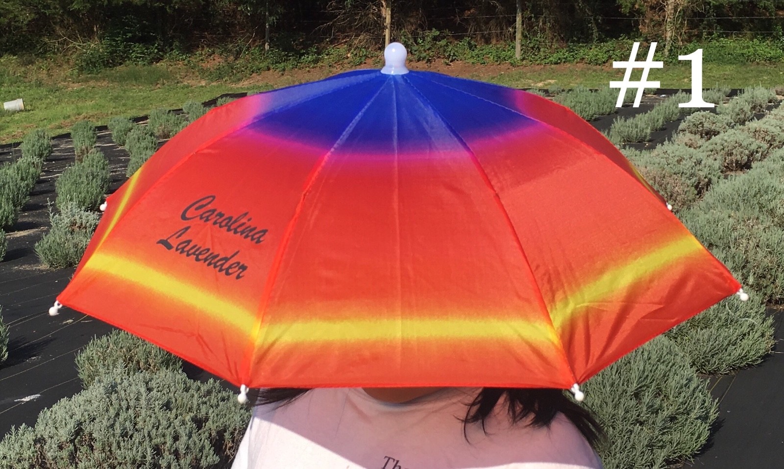 Carolina Lavender Umbrella Hat Outdoor in Sun & Rain Foldable Headwear