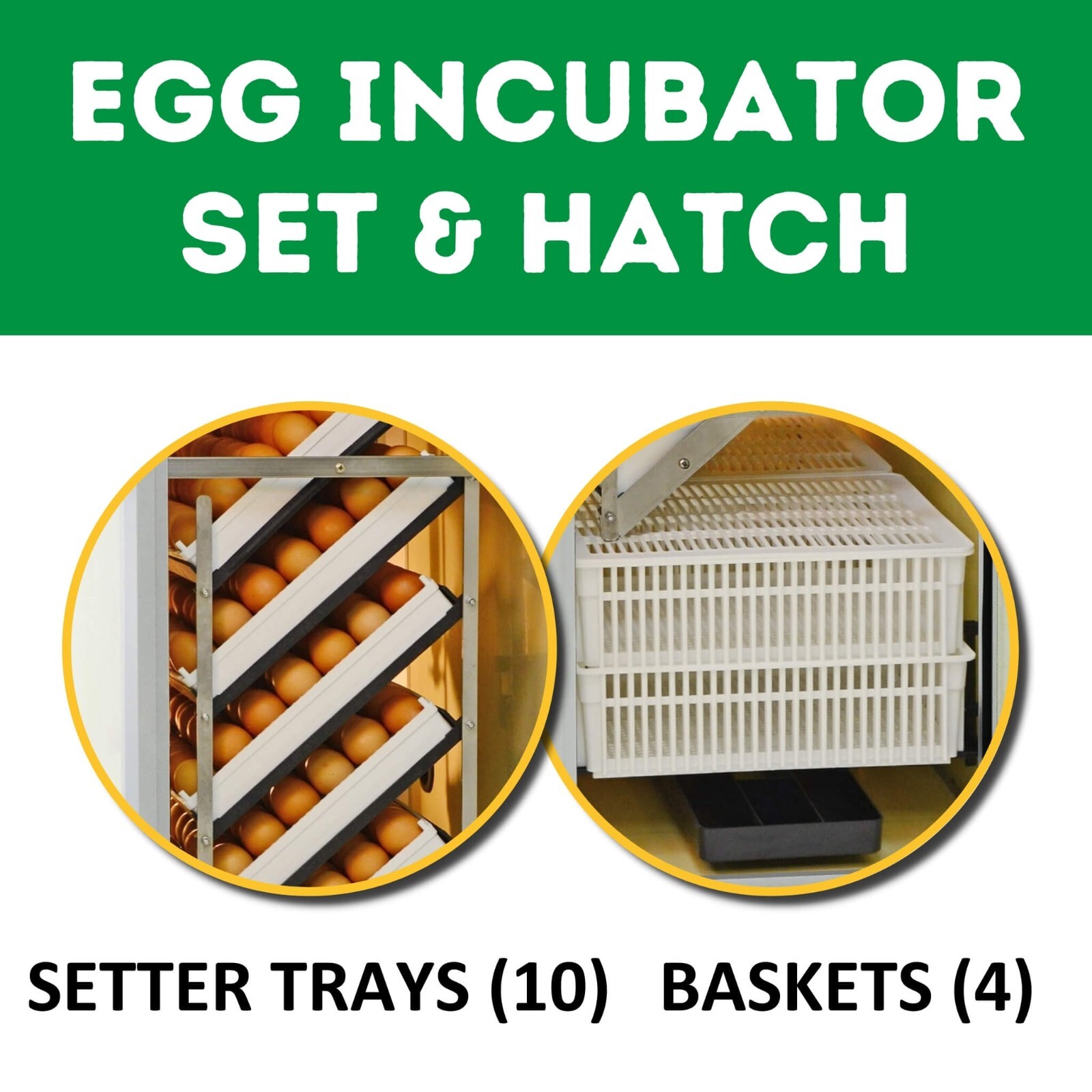HB500 C - Egg Incubator - Setter & Hatcher