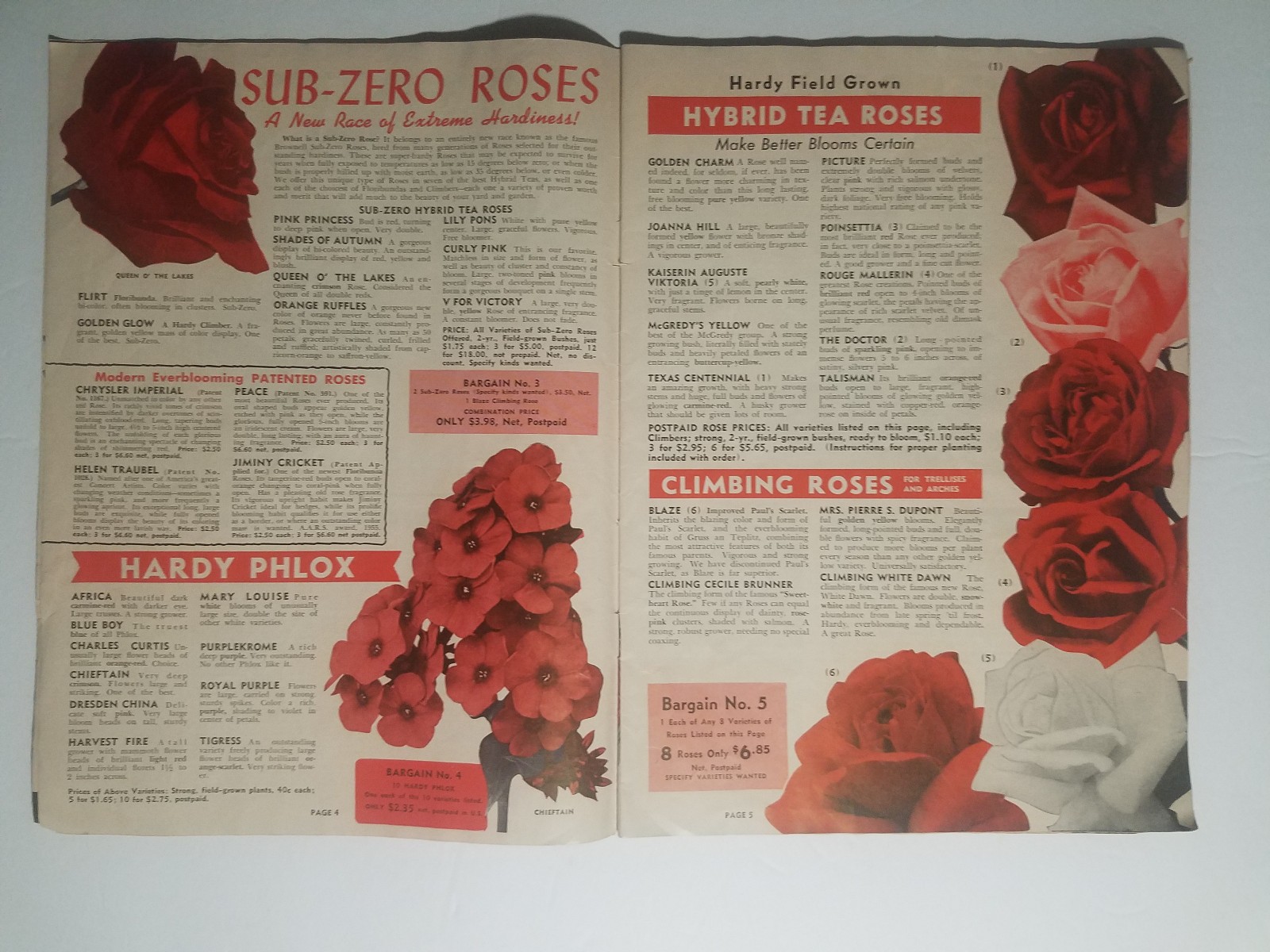 1955 Whitten Nurseries Catalog
