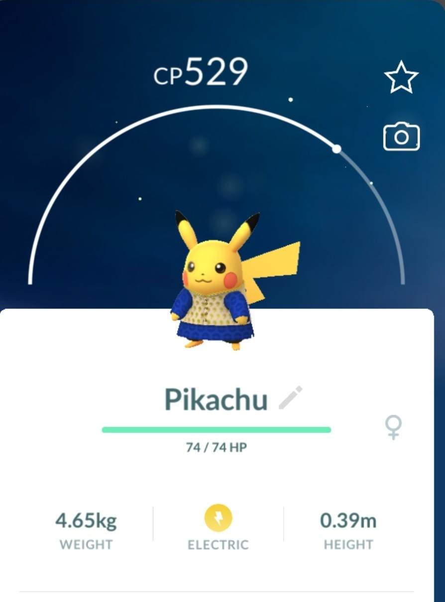 Pokémon Pikachu Kurta Regional Go TD