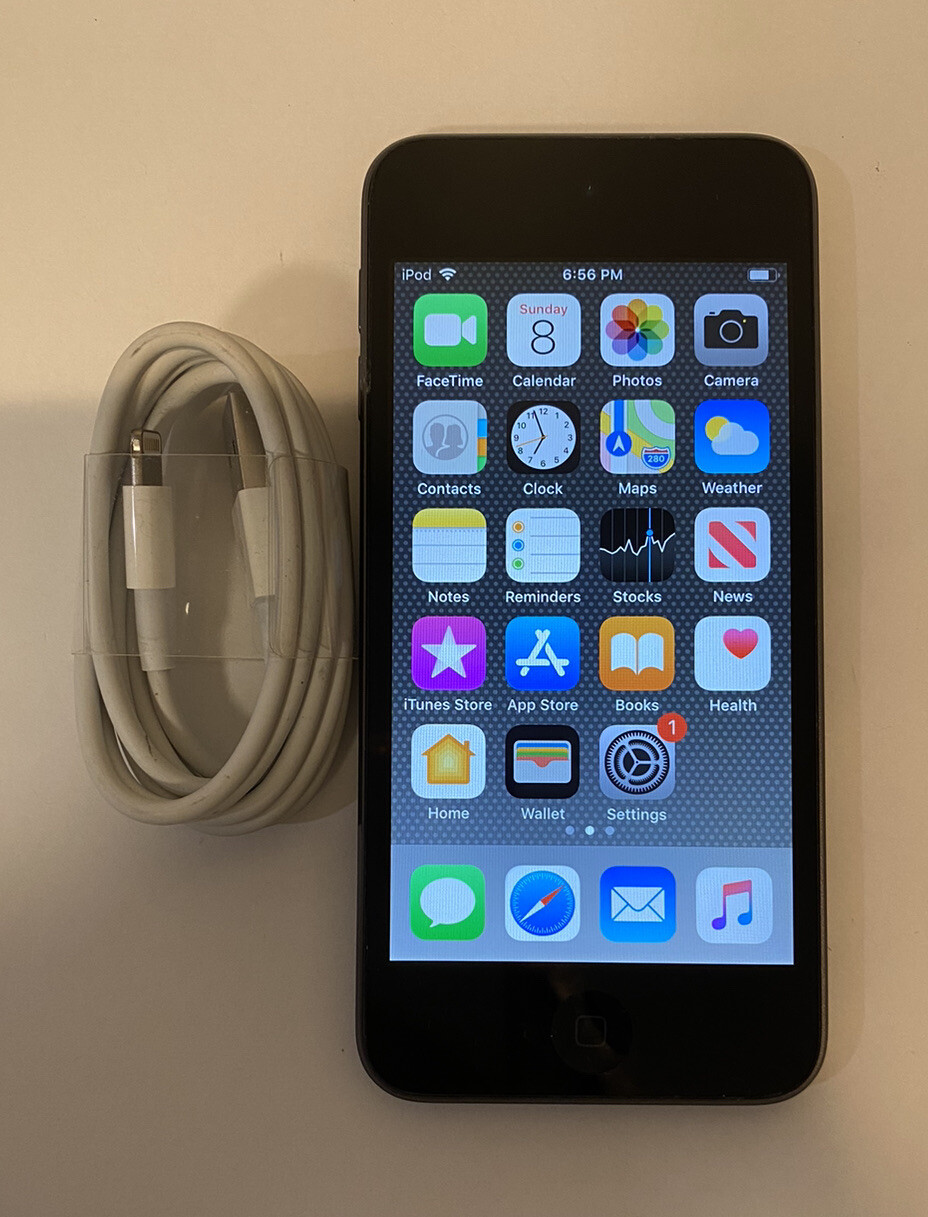 Apple iPod Touch 6th Generation Space Gray (16 GB)