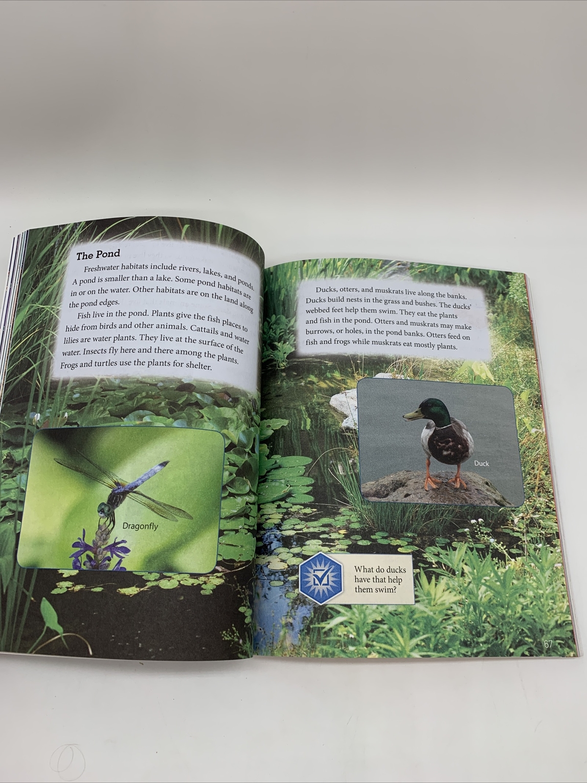 BJU Science 2 Student Text (4th Edition) 2nd Grade Bob Jones