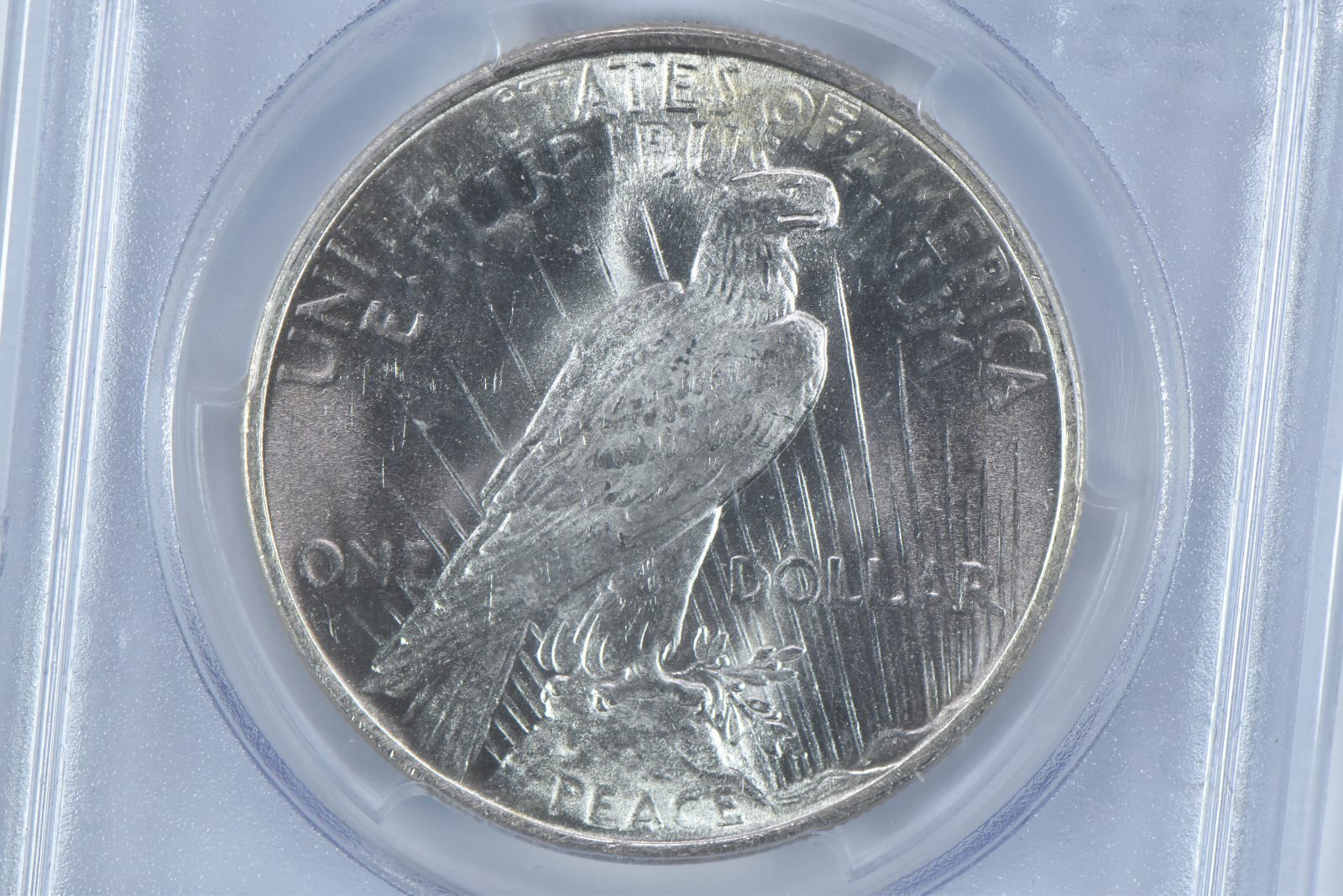 1924 Peace Silver Dollar MS64 PCGS Blue Label