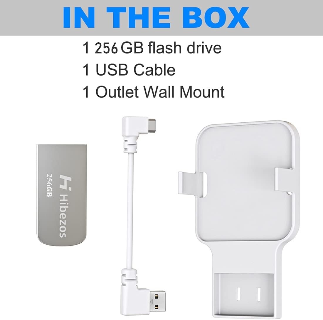 256GB USB Flash Drive & Outlet Mount for Blink Sync Module 2 - Easy Install