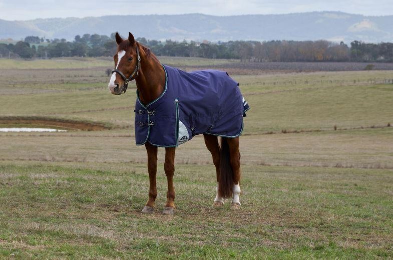 WeatherBeeta ComFiTec Plus Dynamic Turnout Standard Neck 220G - SALE