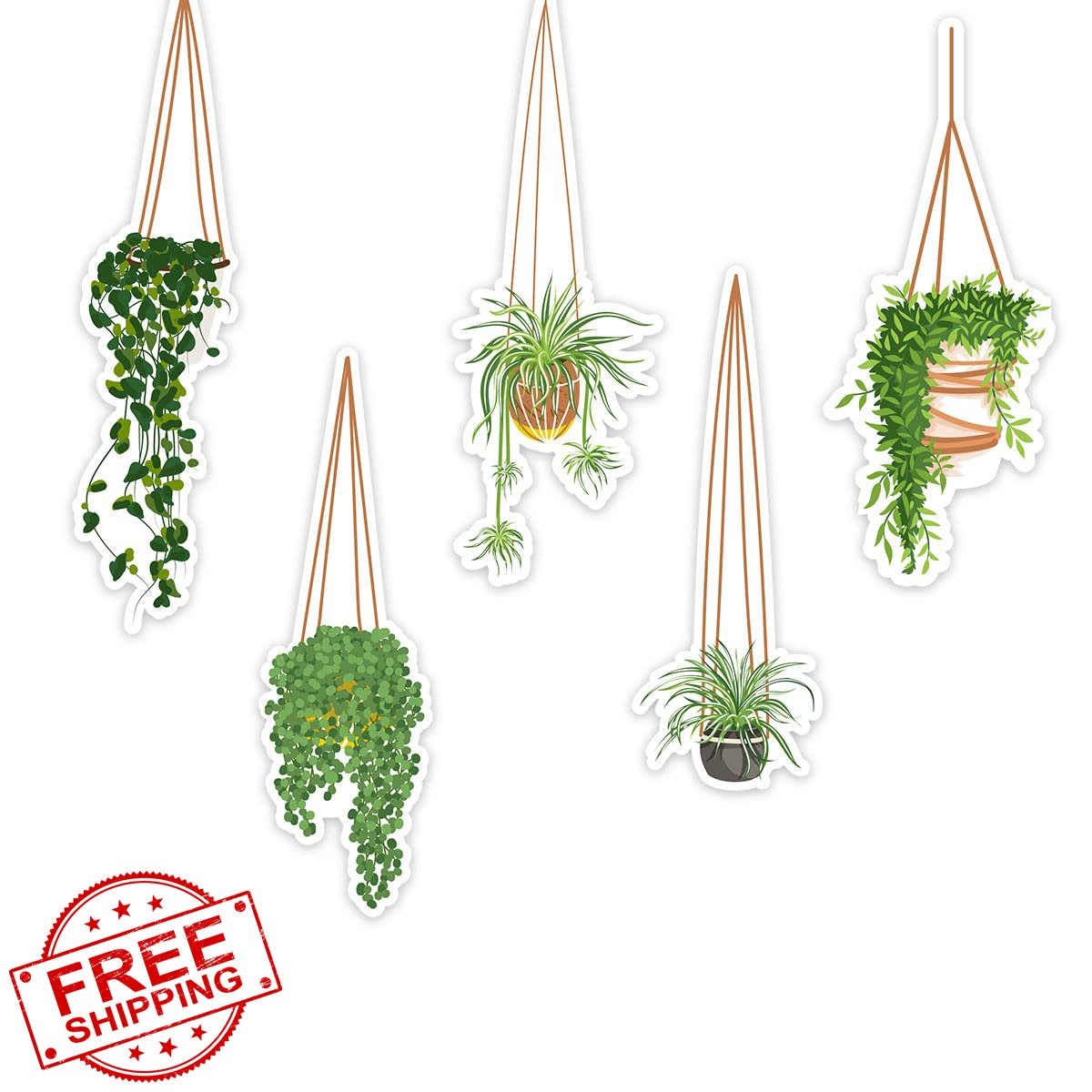 5-Pack Hanging Plant Laptop Stickers Clear Sport Girl Gift Decals