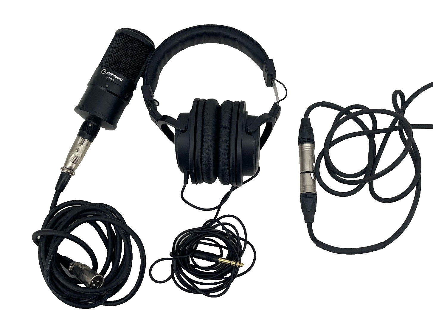 Steinberg ST-M01 Condenser Microphone ST-H01 Studio Headphones XLR Cable Bundle