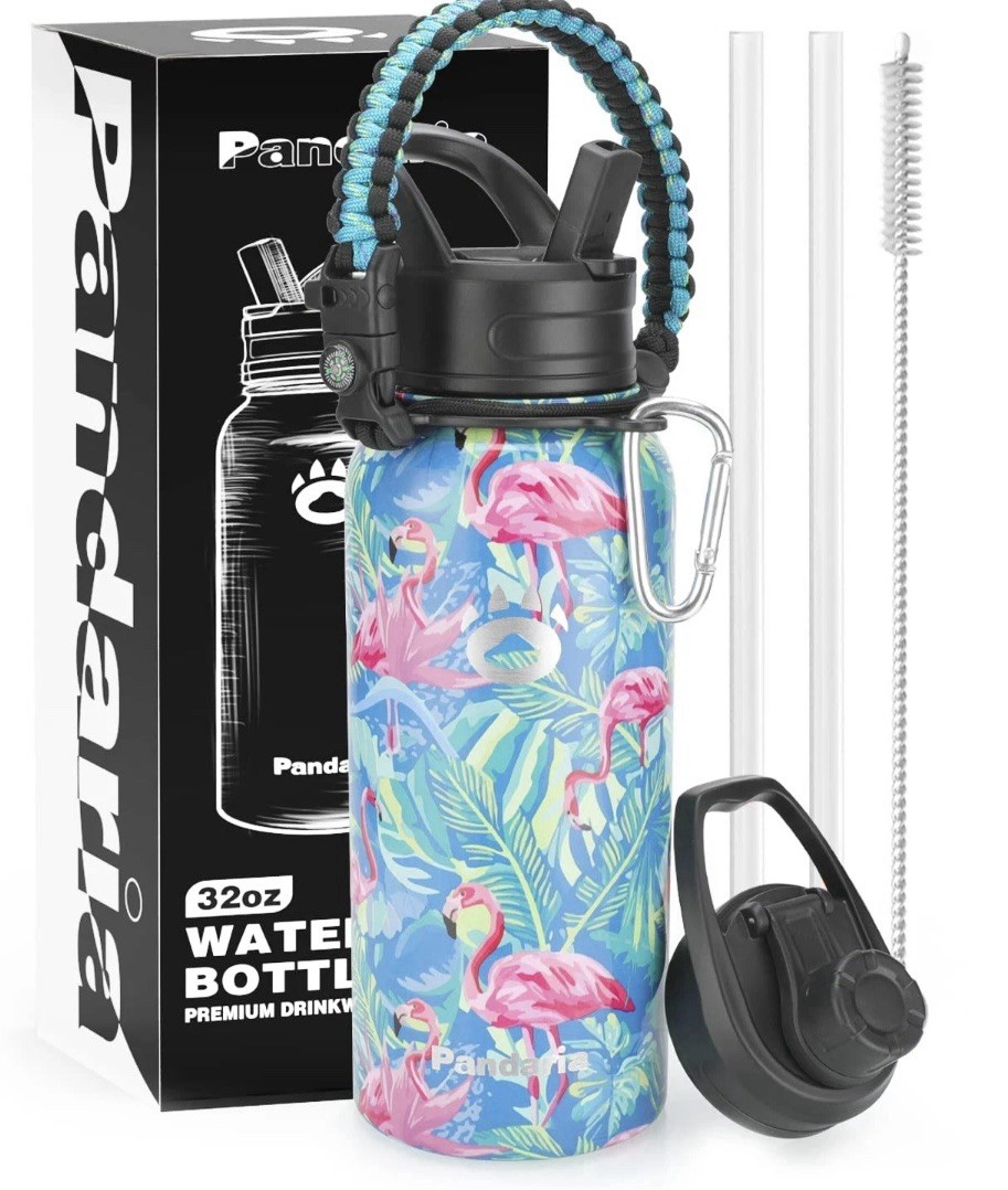 NEW Insulated Water Bottle 32oz Stainless Steel Flamingo Blues Straw Spout Handl