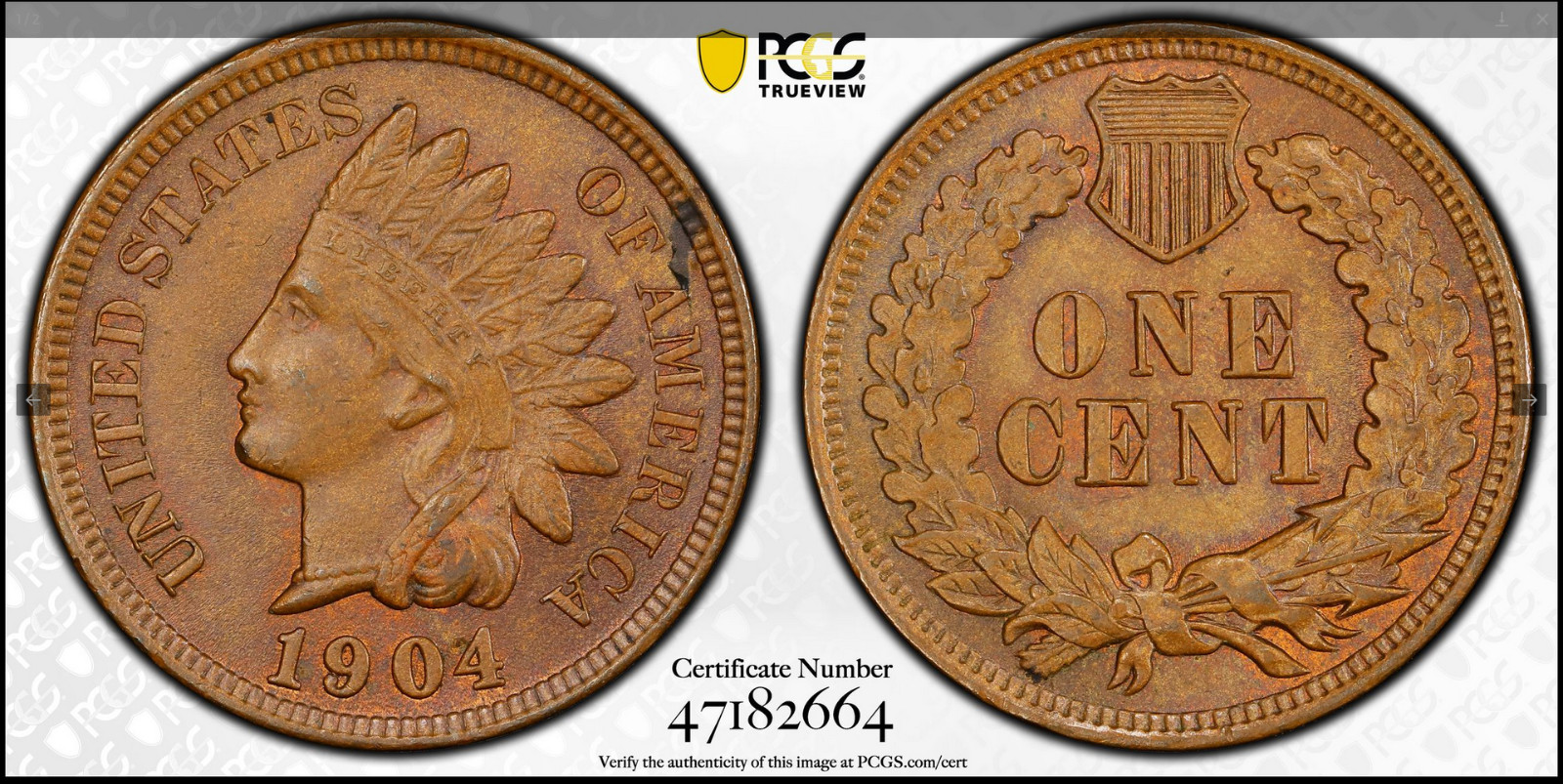 :1904 1C INDIAN PRINCESS CHOICE PCGS MS63BN RARITY R4 LOW POP HIGHEST GRADES