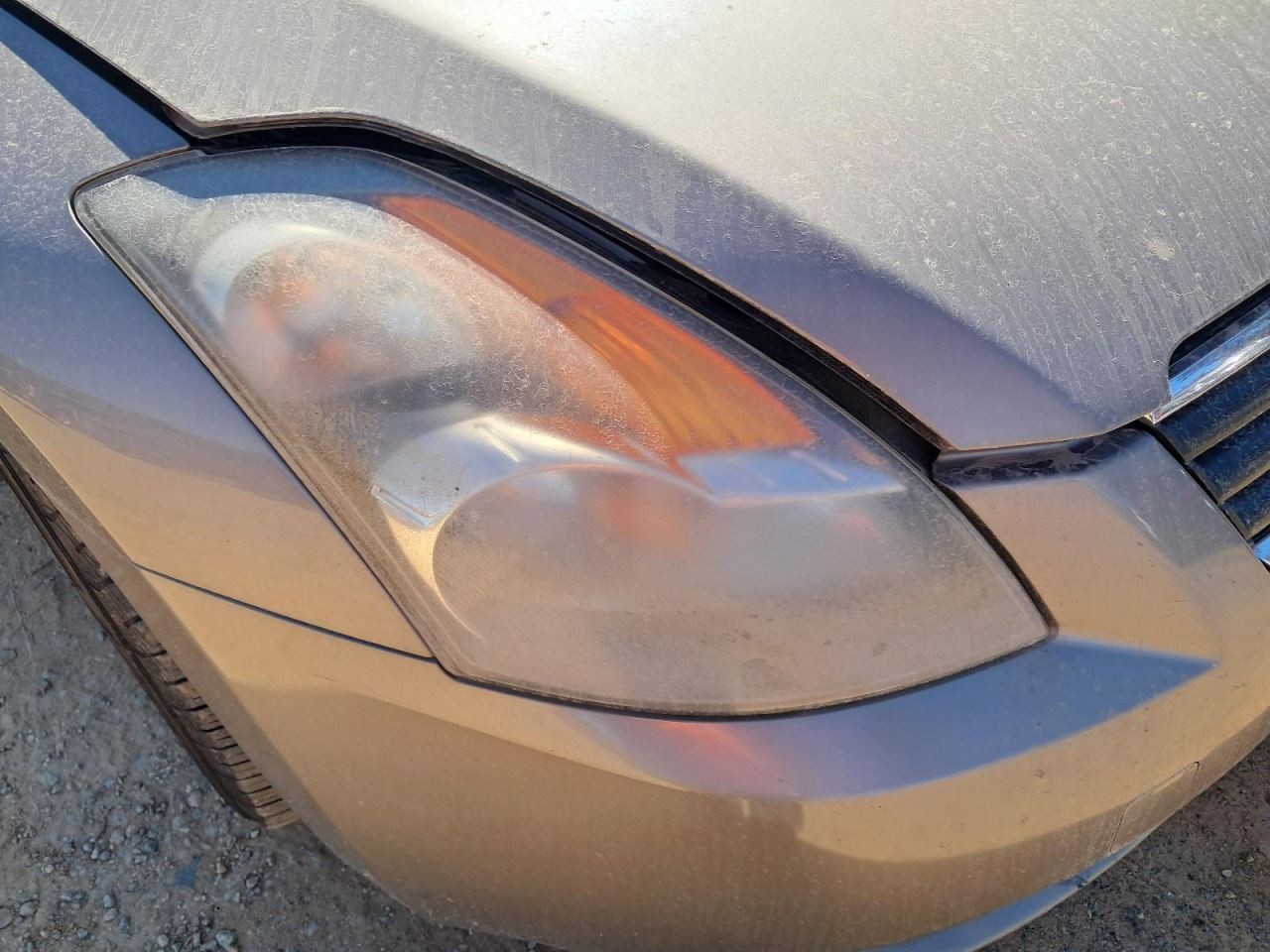 ALTIMA 2007 Glove Box 4833859