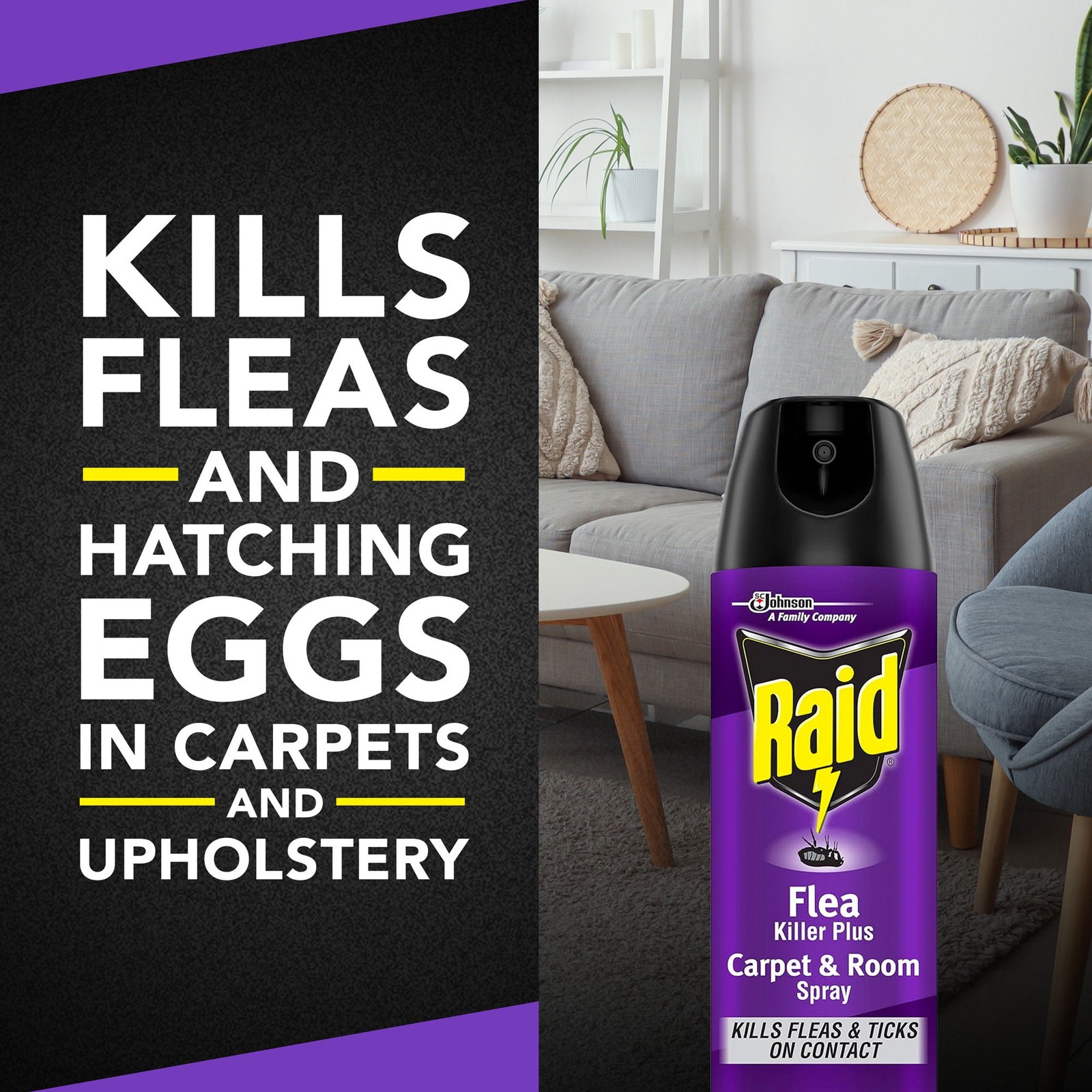 Raid Flea Killer 16oz Spray - Kills Fleas & Eggs Carpet/Room