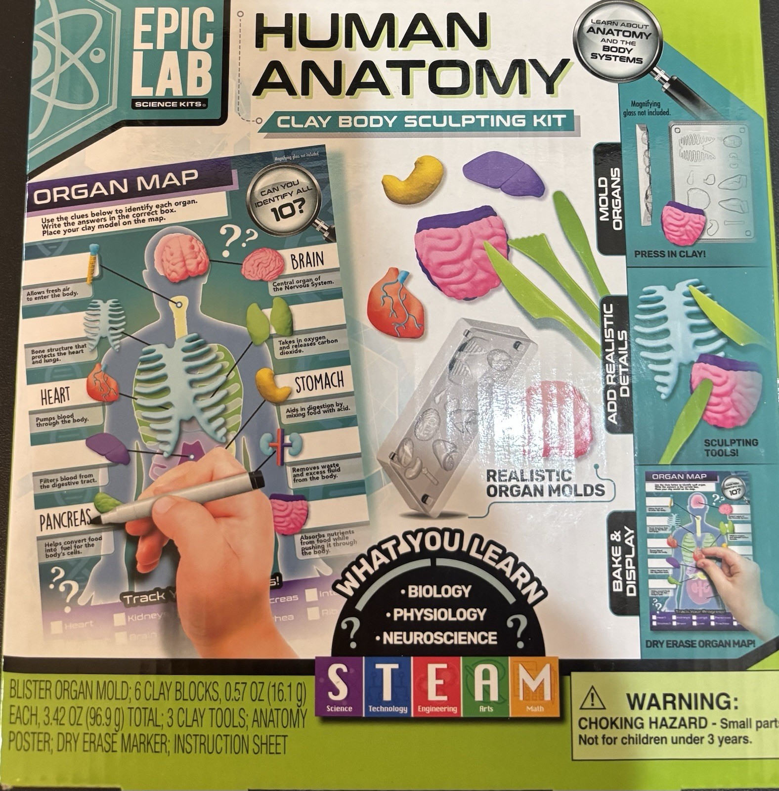 Epic Lab Human Anatomy Clay Body Sculpting Kit with Organ Molds & Dry Erase Map