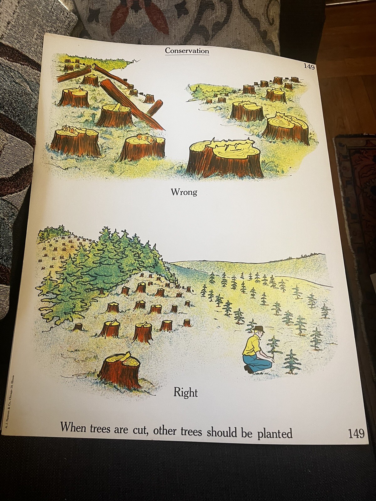 VINTAGE A.J. Nystrom Elementary science chart Universe & Conservation 24” x18.5”
