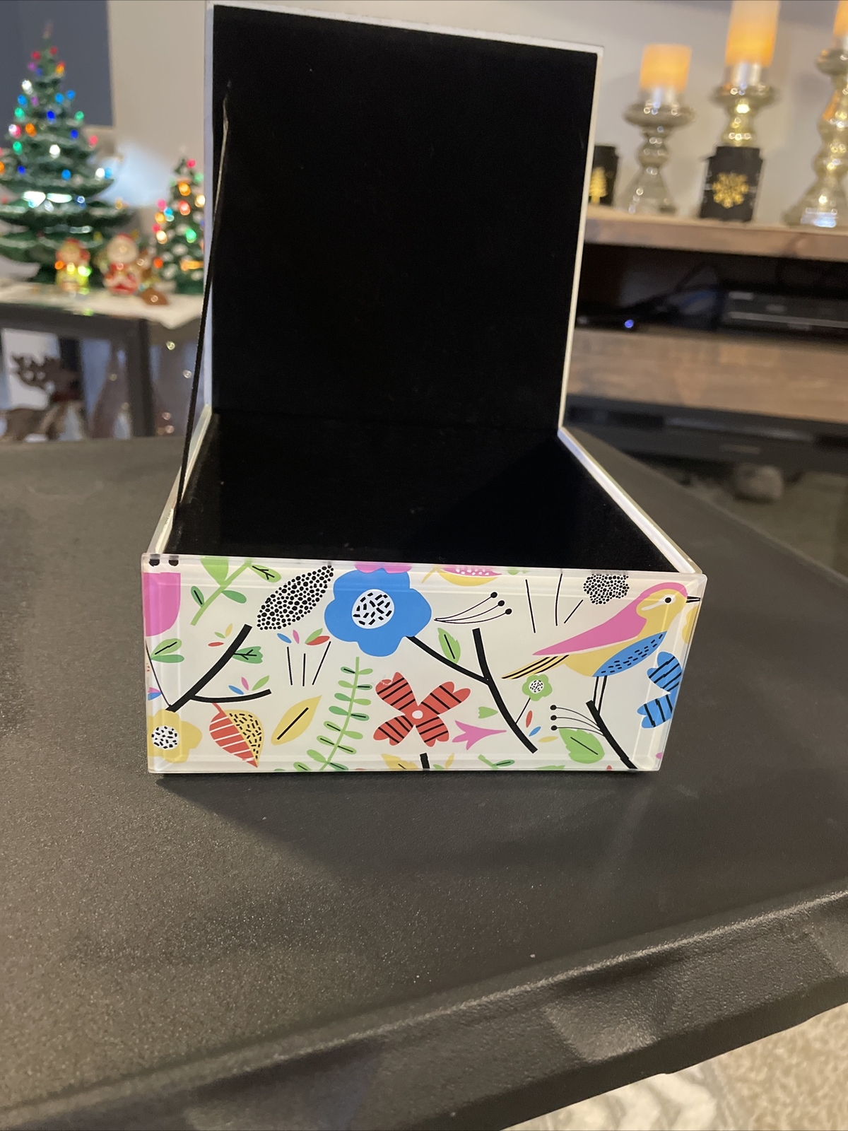 Acrylic Bird box