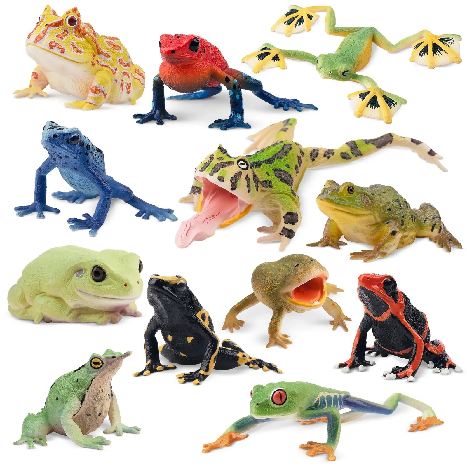 Toymany Frog Toy Figures, Plastic Rainforest Woodland Animals Toy Frogs Set