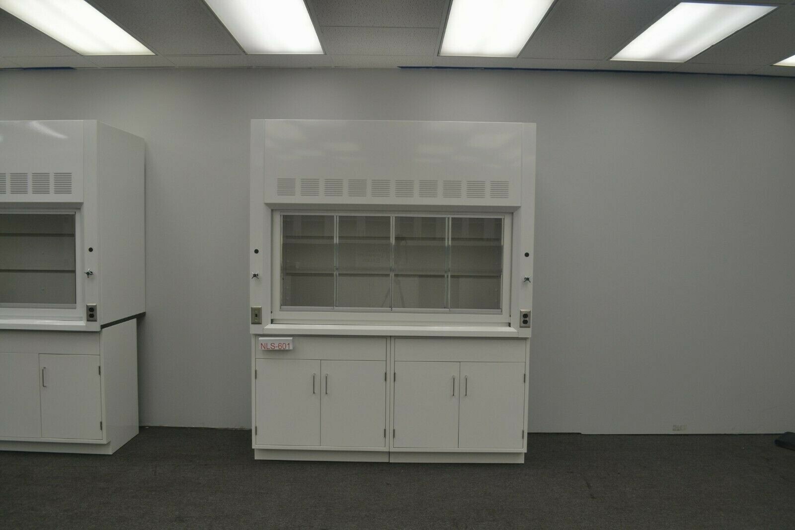 Laboratory 6' Fume Hood Enclosure w/ General Storage / E2-019