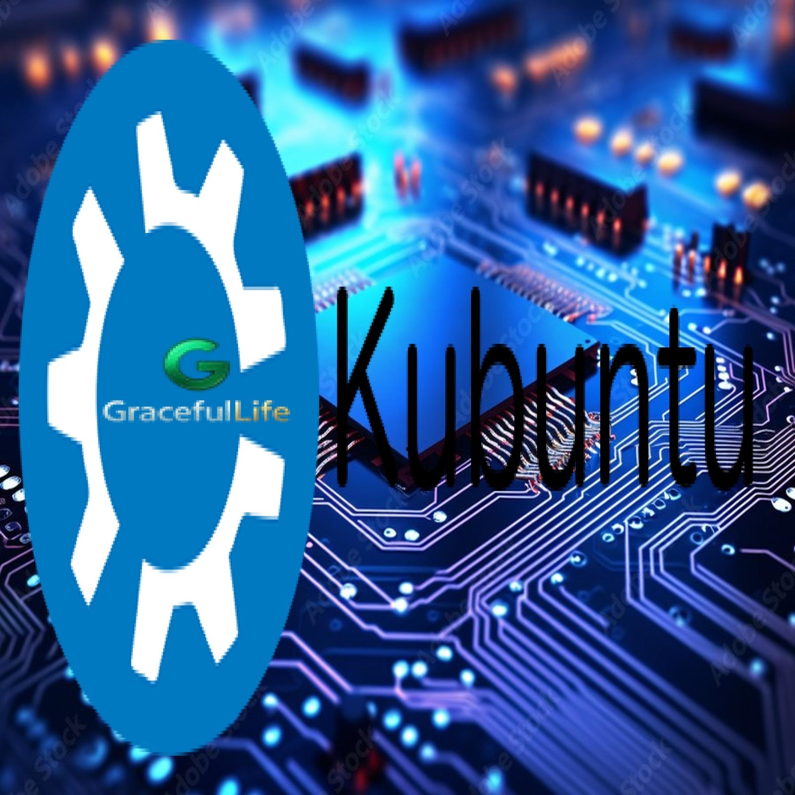 Kubuntu Desktop Linux OS 64-Bit  Live Install Bootable Software ~ 2025 edition