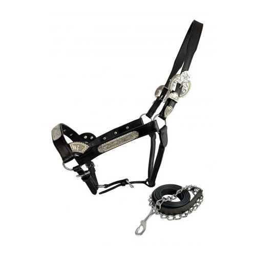 AS600 Showman Average Horse Leather Show Halter with Matching Lead