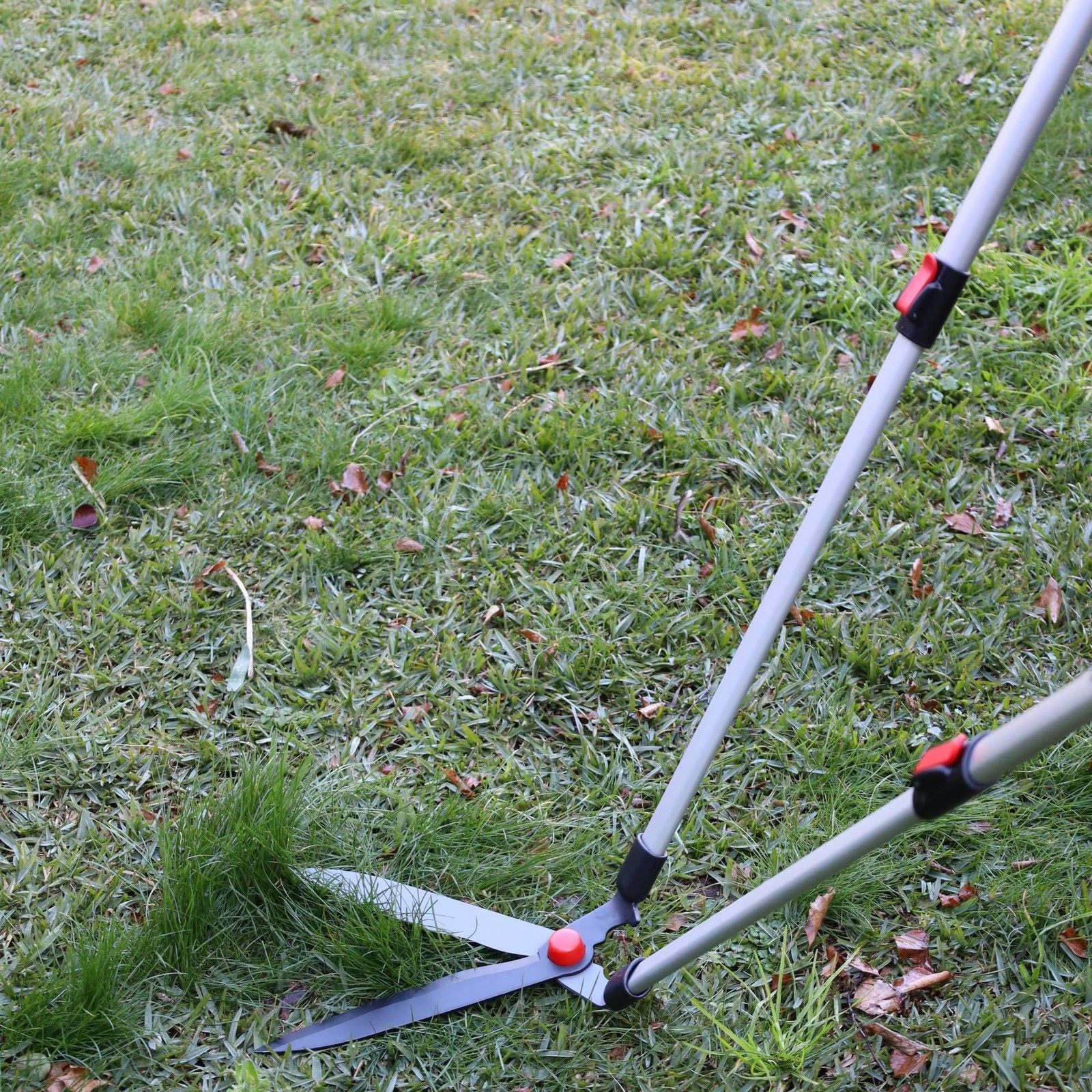 Flip Lock Telescopic Lawn Shear by Darlac - Single, Classic