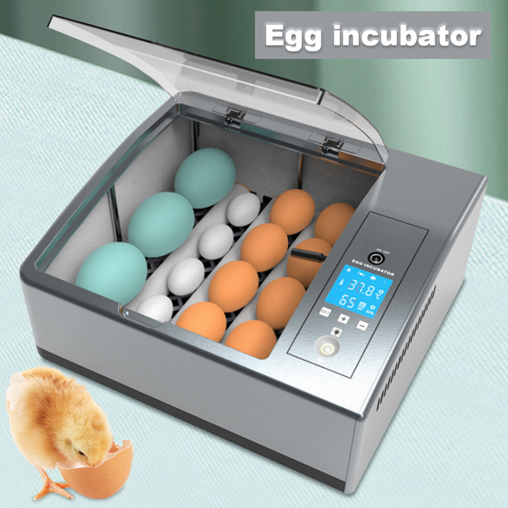 16 Egg Incubator Automatic Turner LCD Temperature Control AC110V/DC12V