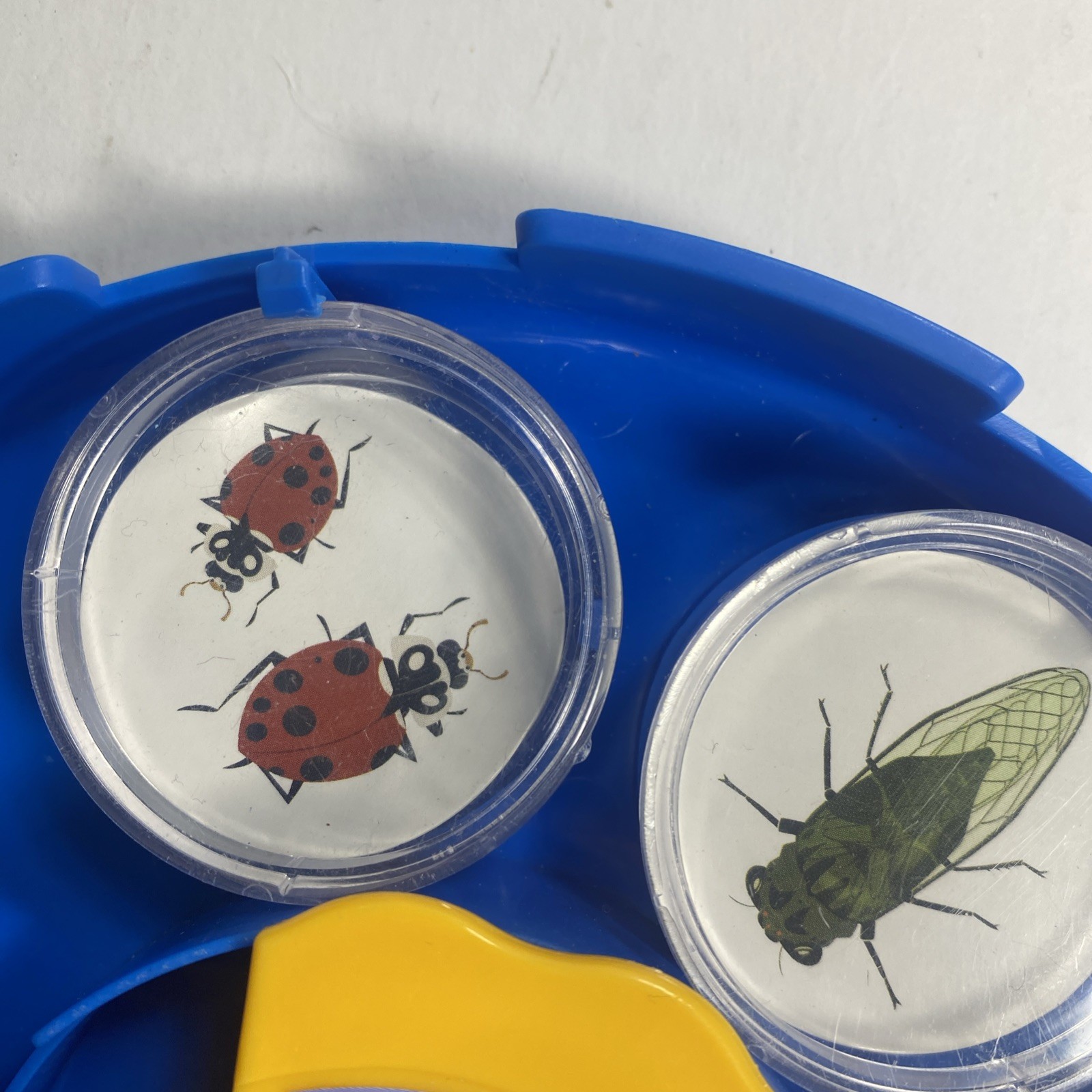 All Images Bug Viewing Kit By Kratt Brothers Ltd.