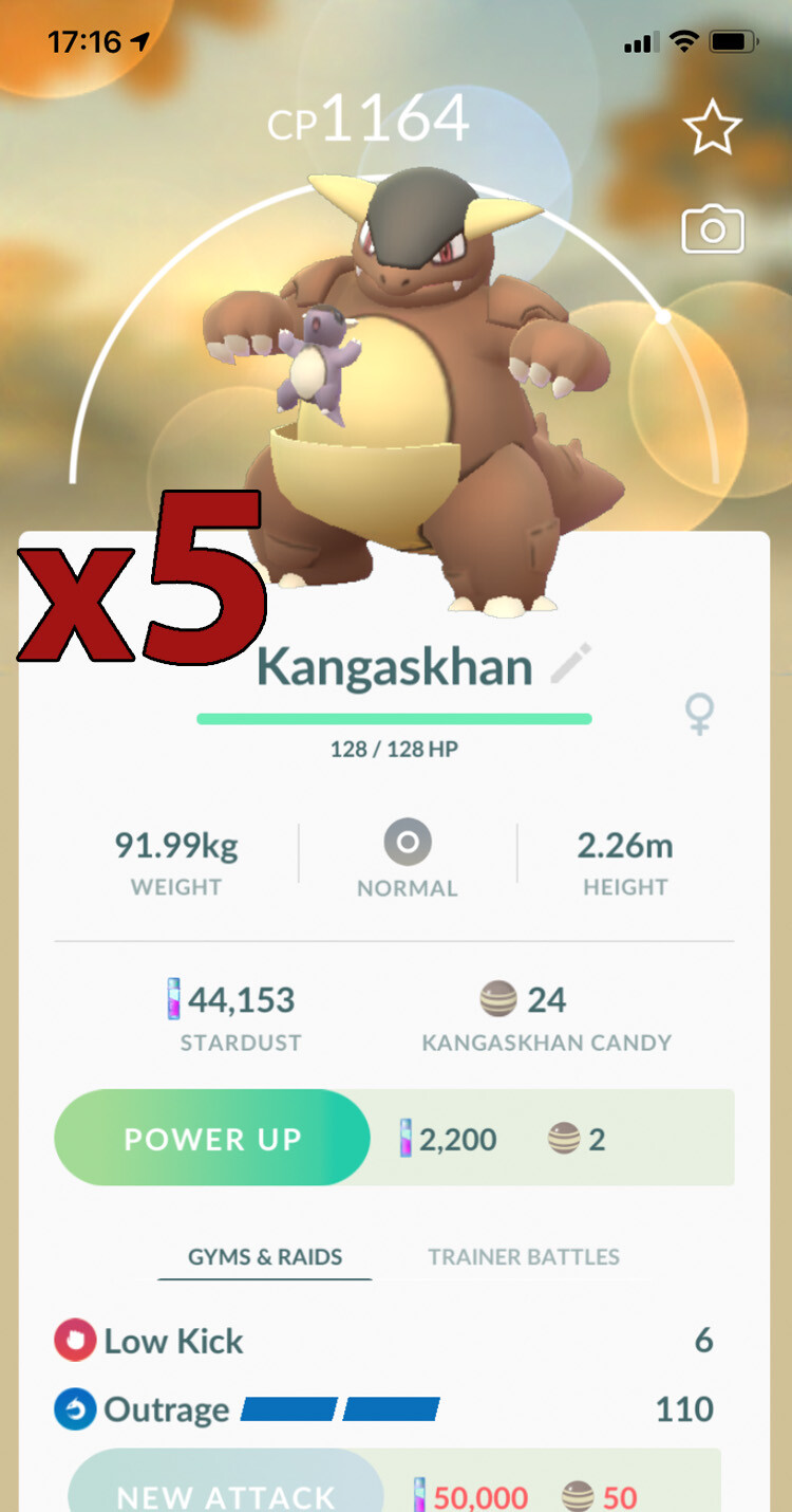 5x Kangaskhan Pokemon Bundle !! Good Chance of Lucky and Good IVs !! Go