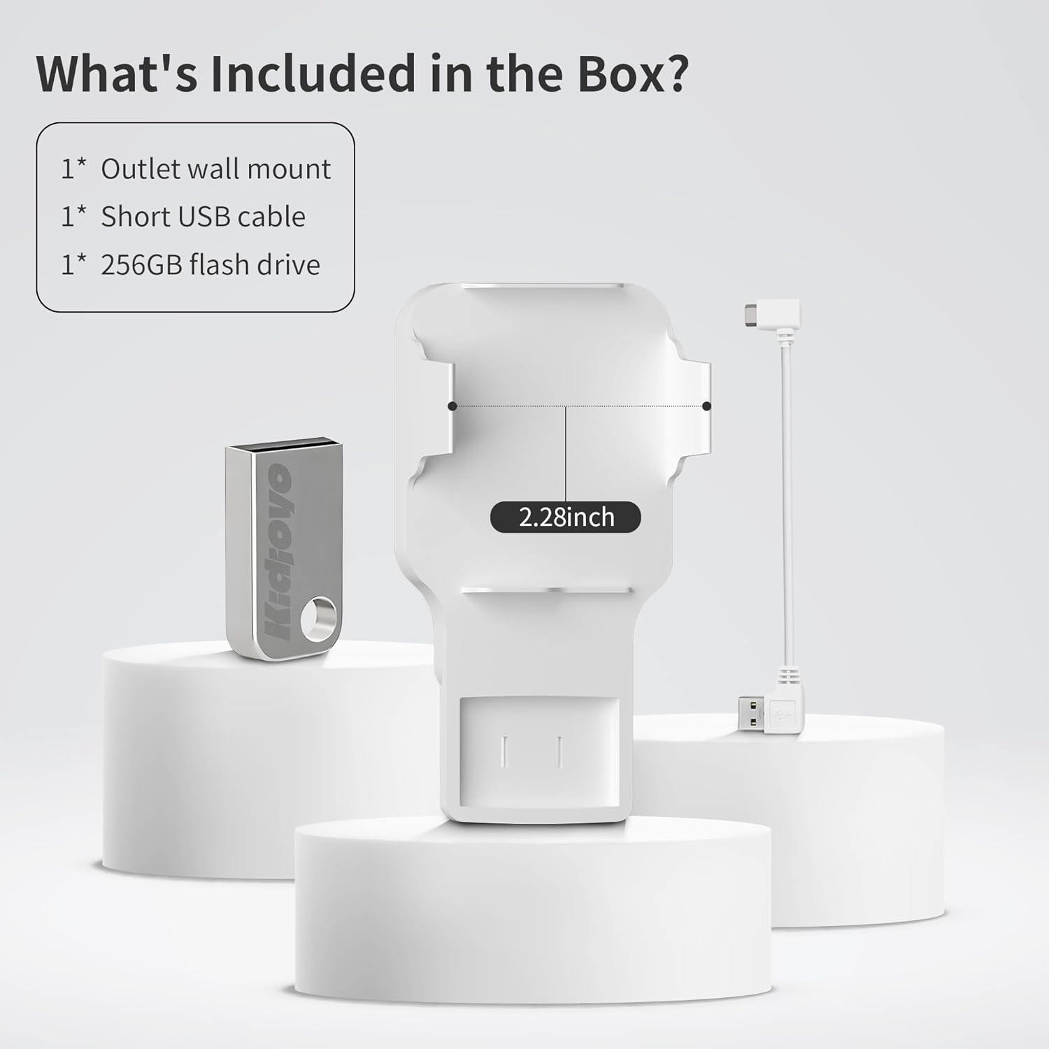 256GB Blink USB Flash Drive & Wall Mount for Blink Sync Module 2 with Short Cabl