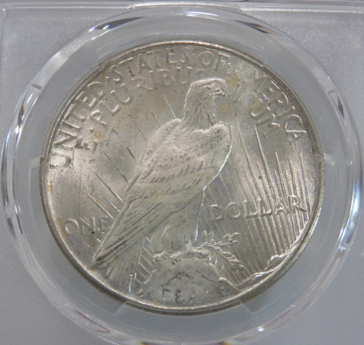 GOLD SHIELD! 1925-P Peace Silver Dollar, PCGS MS-66!
